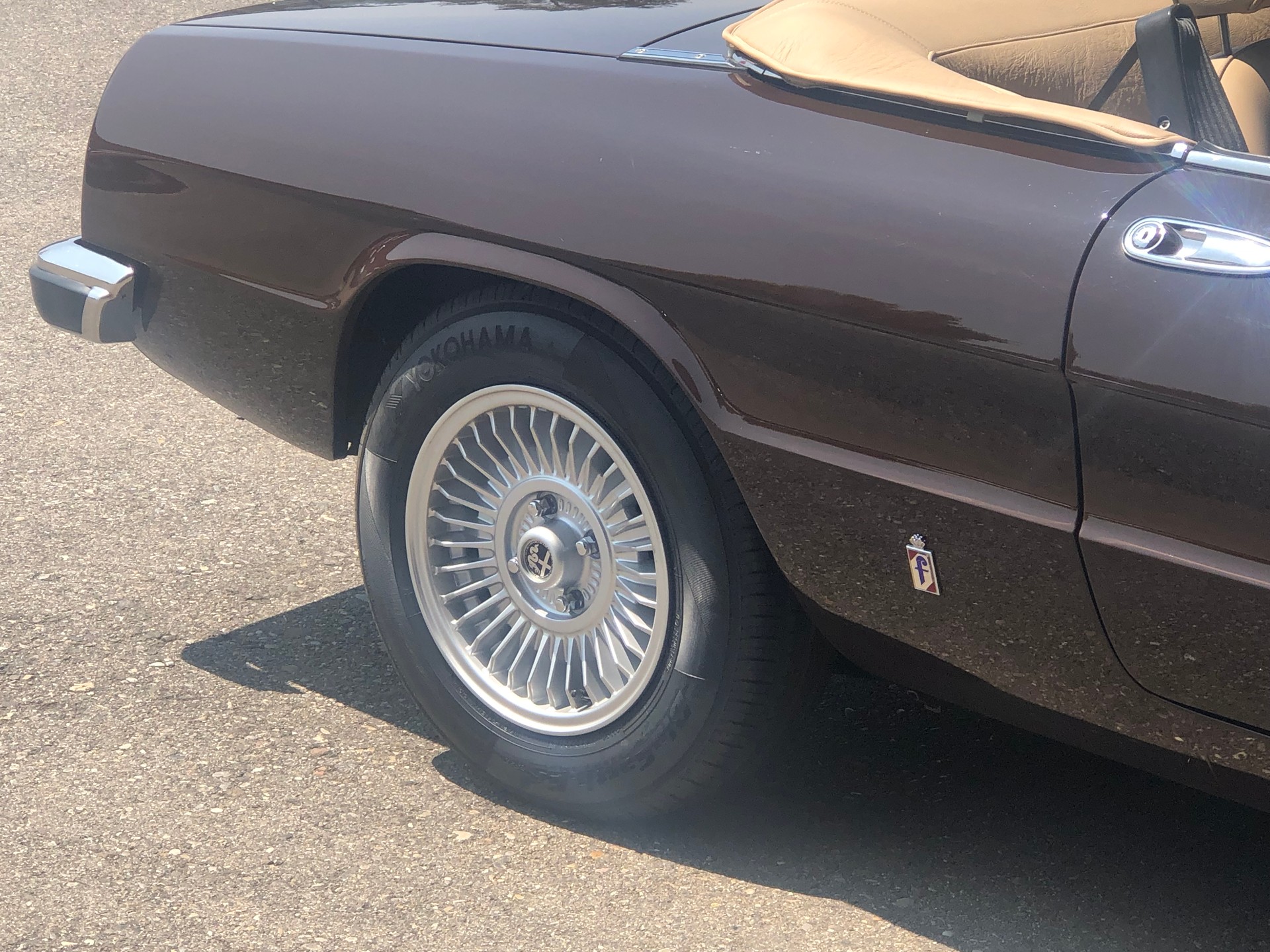 ALFA ROMEO SPIDER-image-5