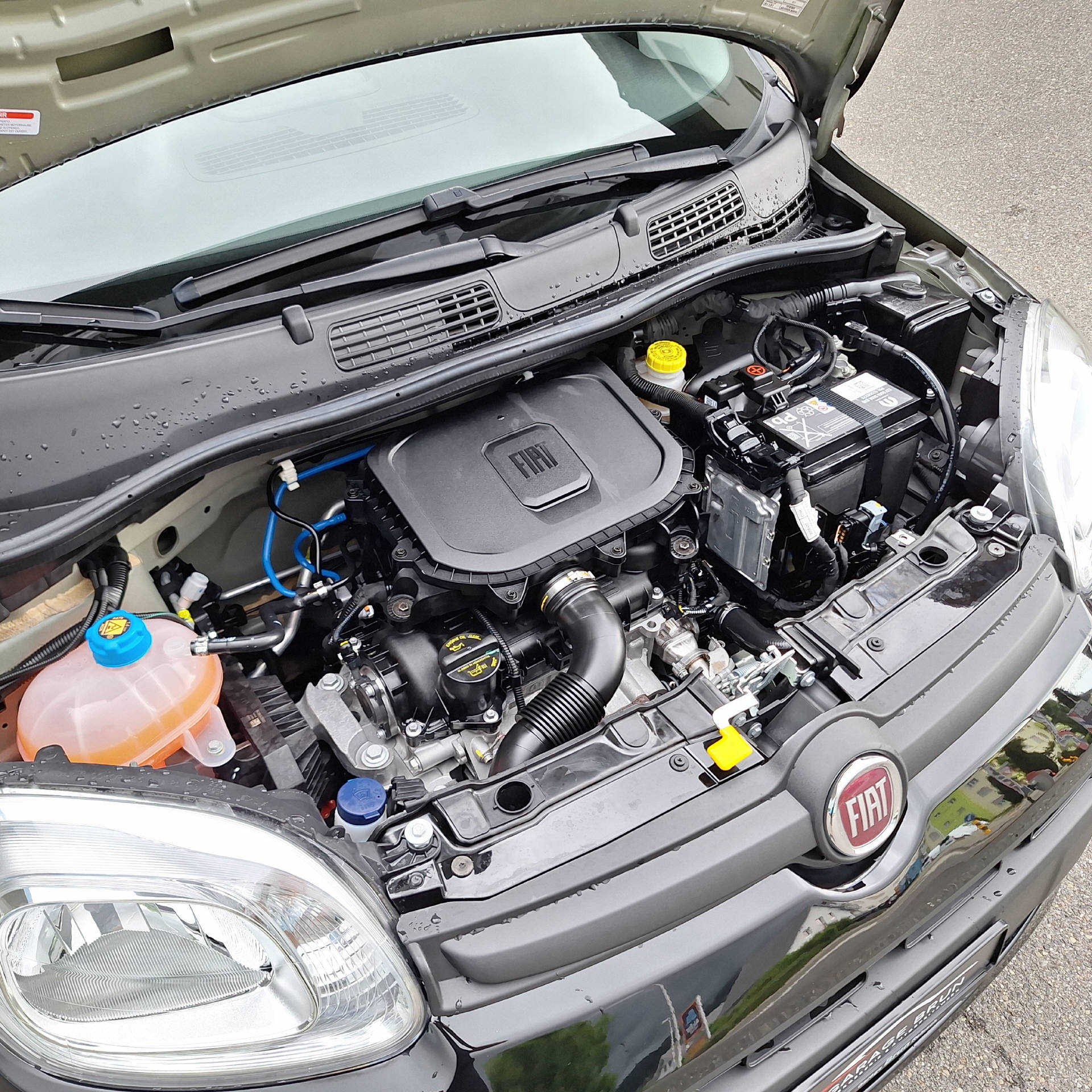 FIAT Panda 1.0 Hybrid City Life-image-6