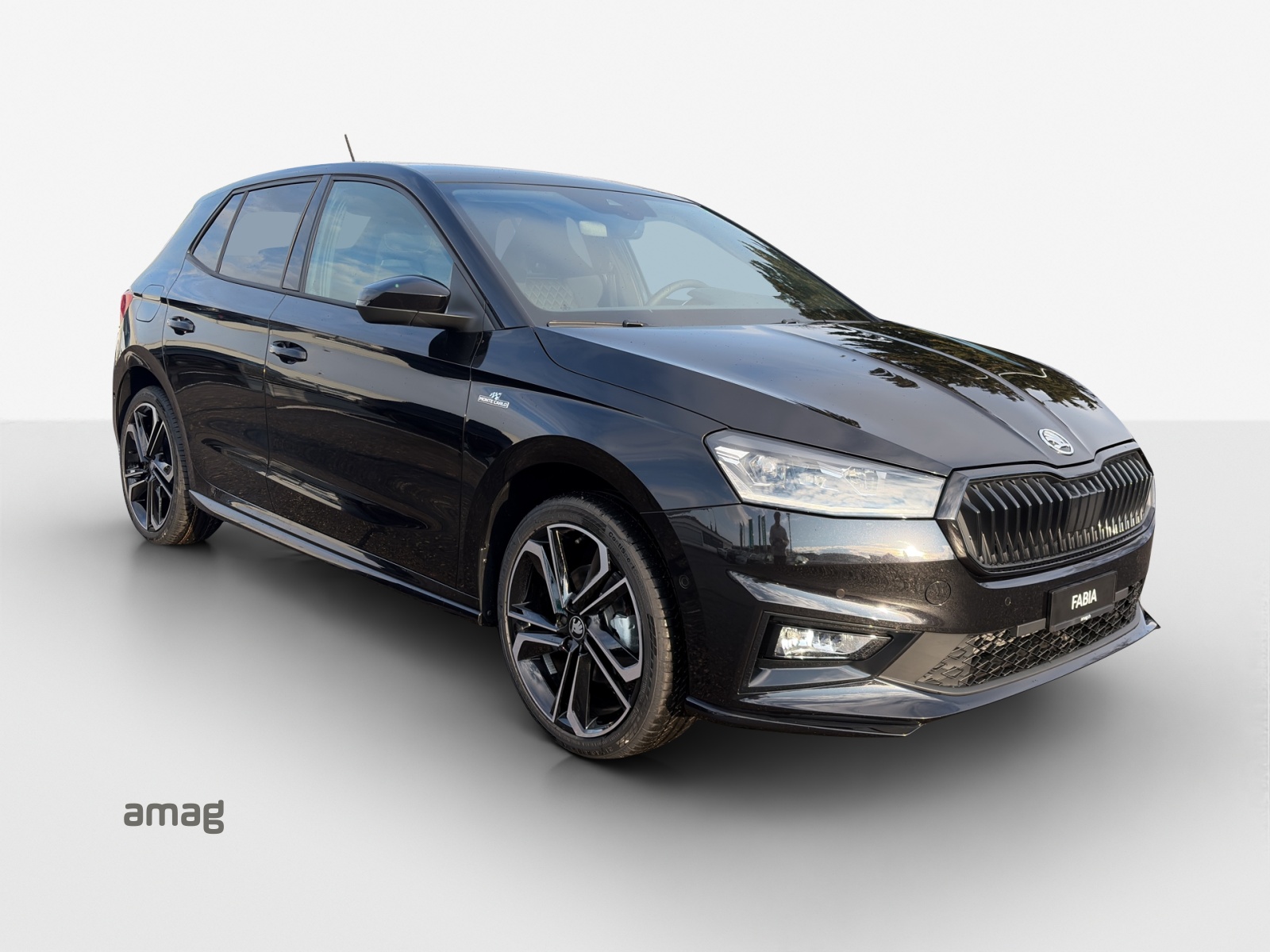 SKODA Fabia 1.0 TSI Monte Carlo DSG-image-5
