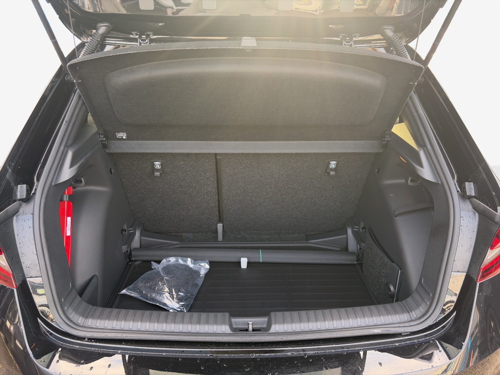 SKODA Fabia 1.0 TSI Monte Carlo DSG-image-12