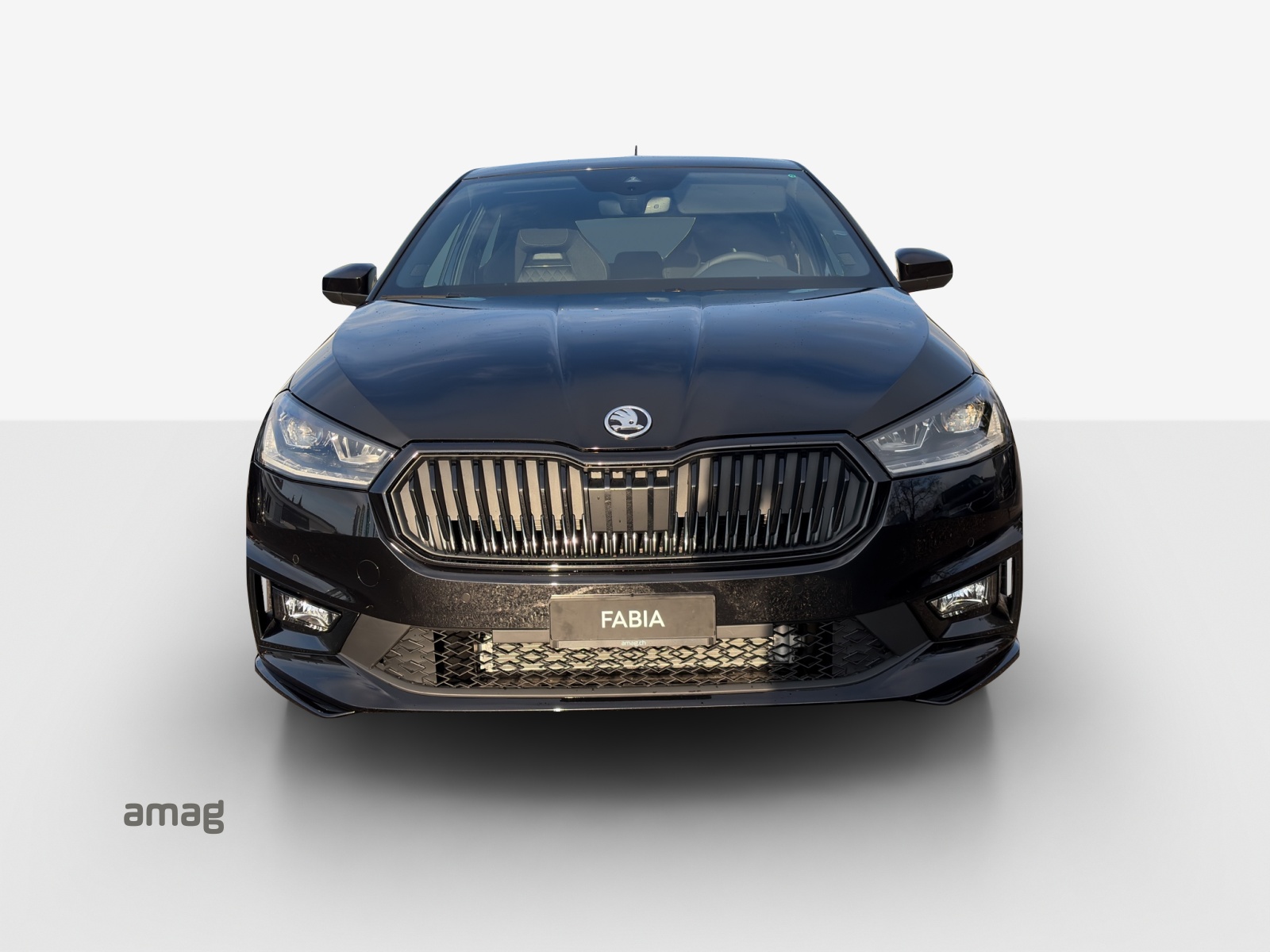 SKODA Fabia 1.0 TSI Monte Carlo DSG-image-6