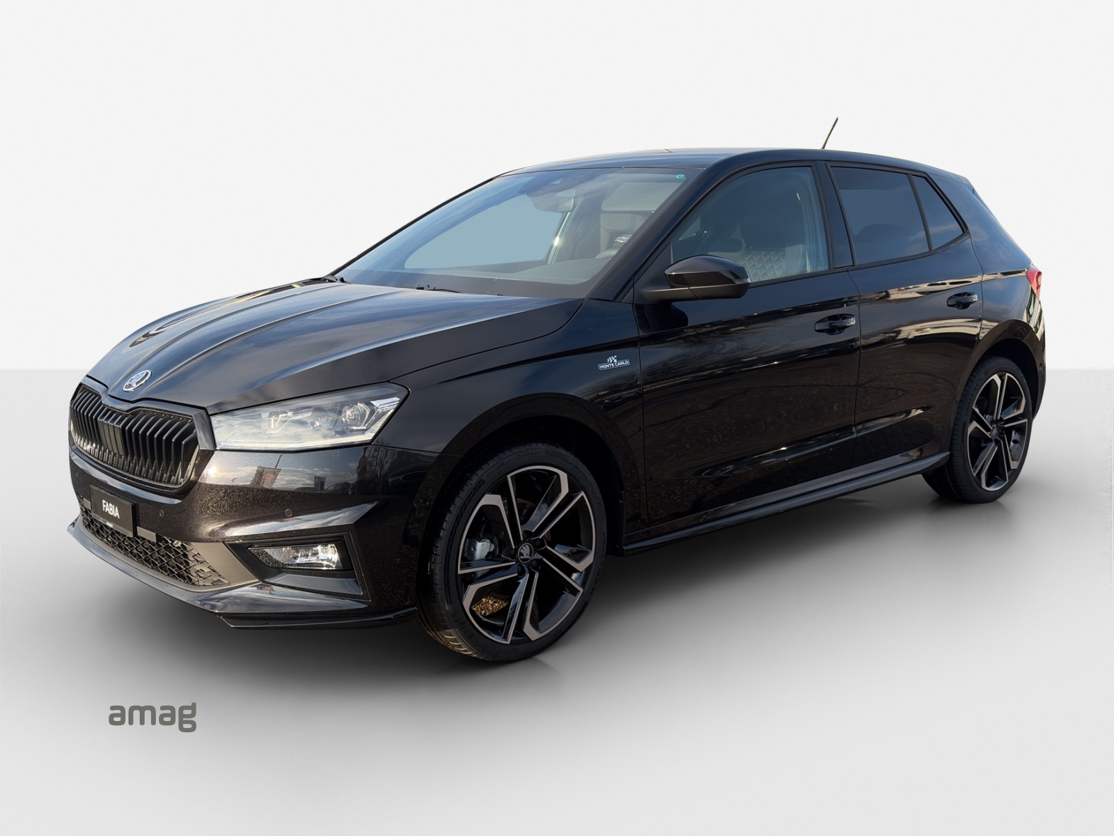 SKODA Fabia 1.0 TSI Monte Carlo DSG-image-0