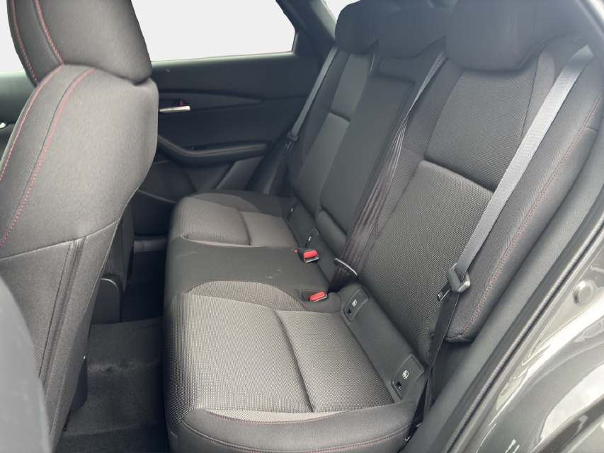 MAZDA CX-30 2.5/140 Homura-image-10