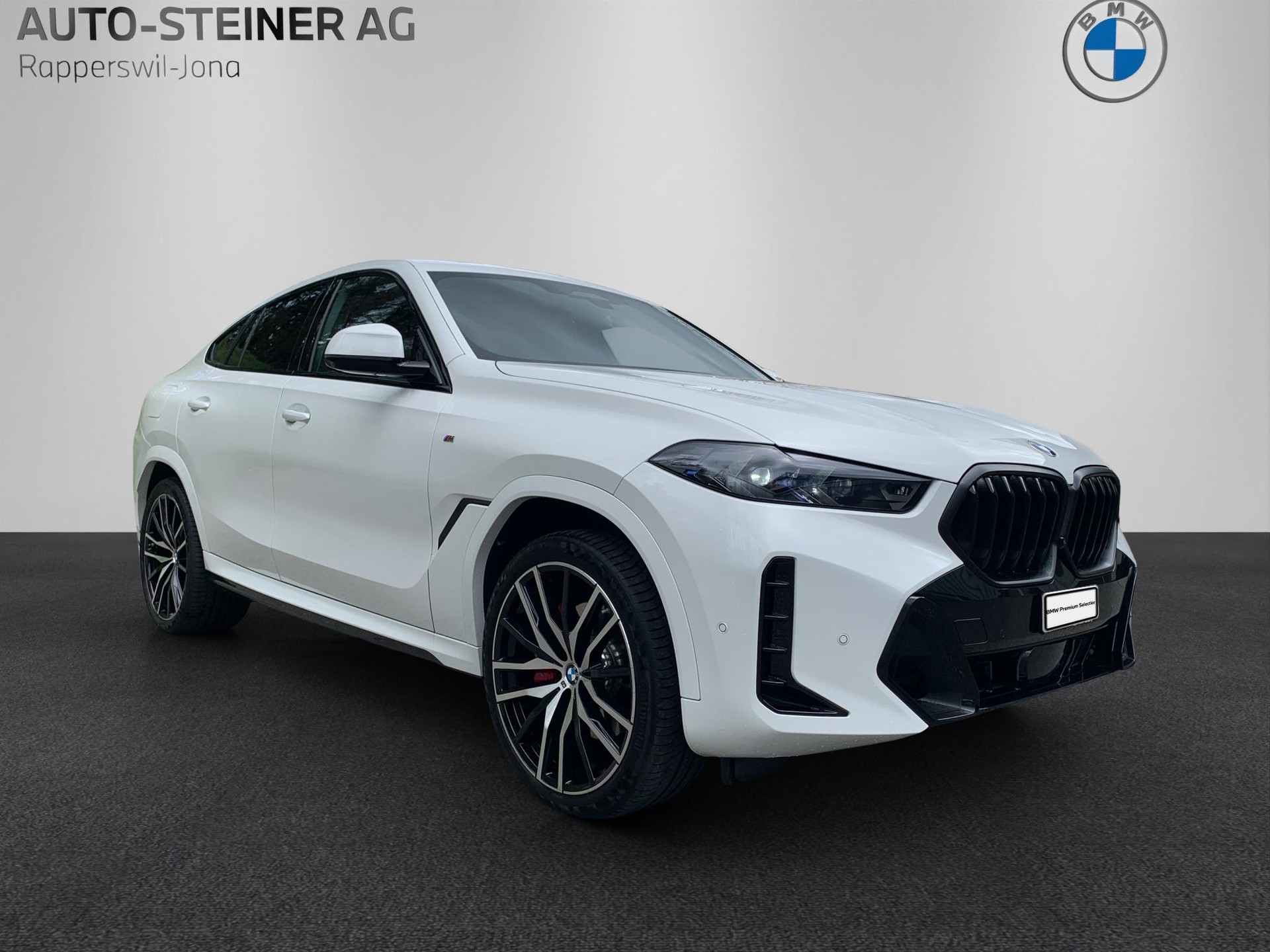 BMW X6 xDrive 48V 40i M Sport Pro Steptronic-image-6