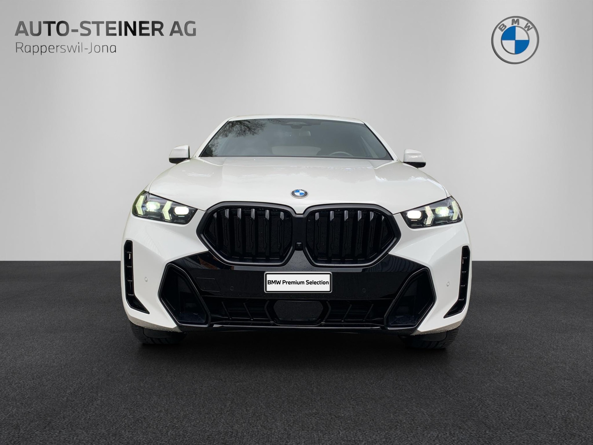 BMW X6 xDrive 48V 40i M Sport Pro Steptronic-image-7