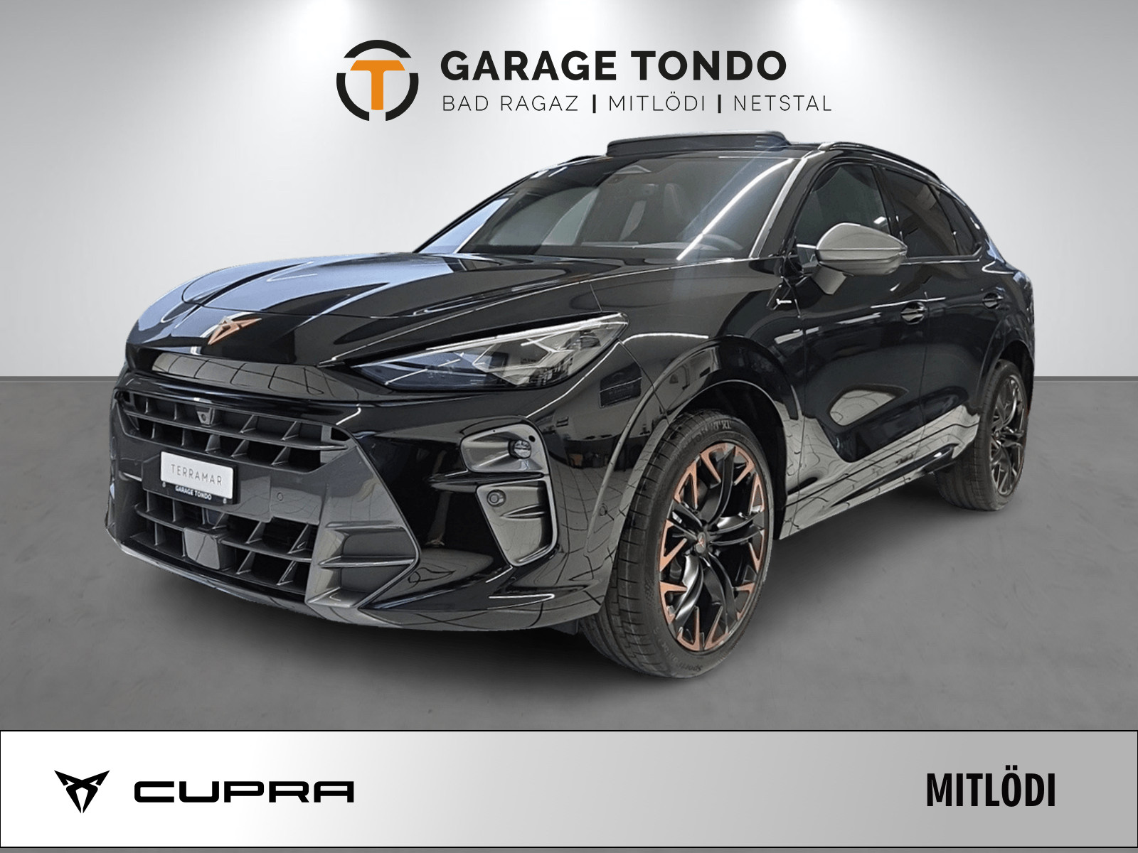 CUPRA Terramar 2.0 TSI Prime Edition VZ 4Drive DSG-image-0