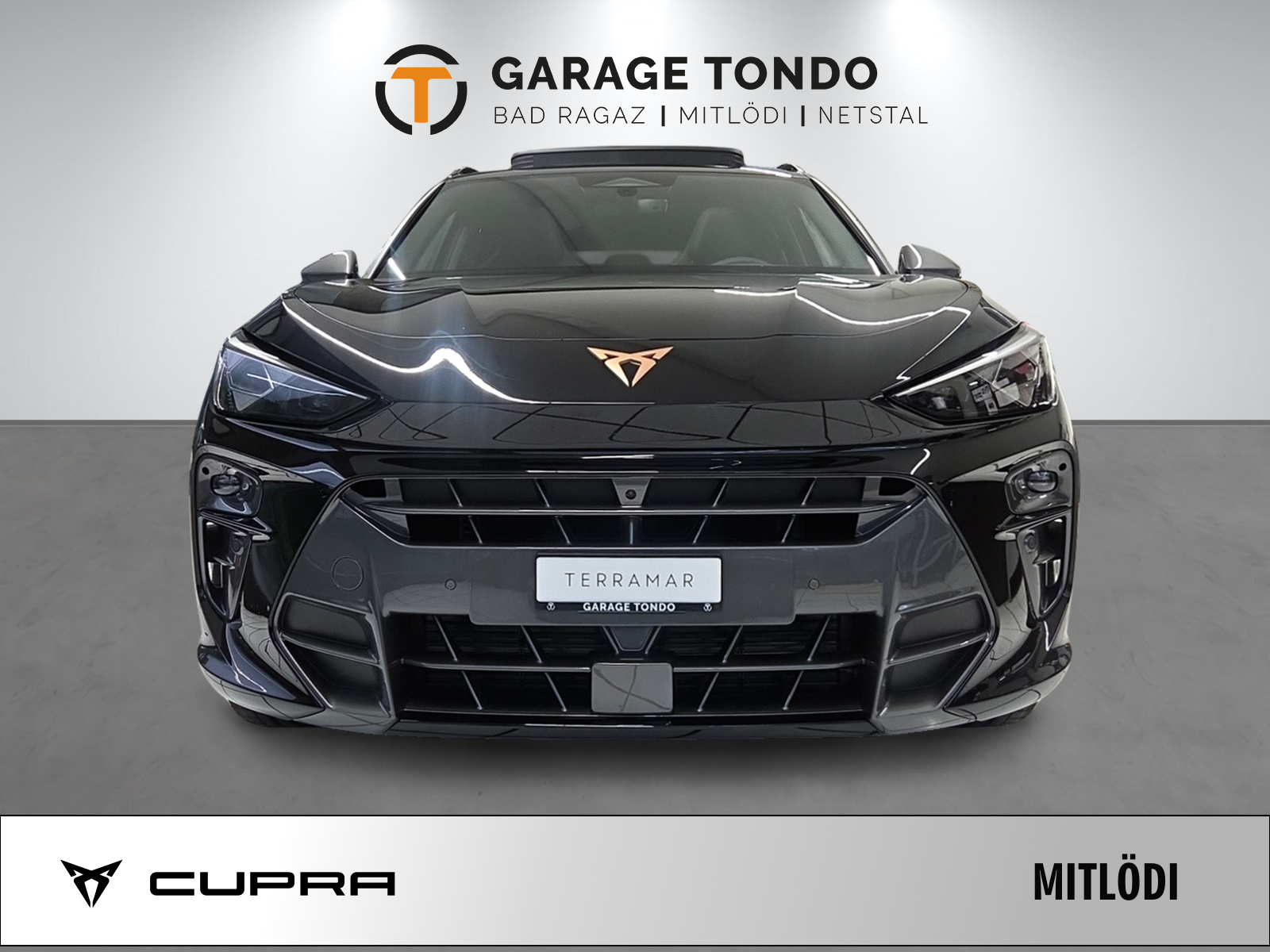 CUPRA Terramar 2.0 TSI Prime Edition VZ 4Drive DSG-image-1