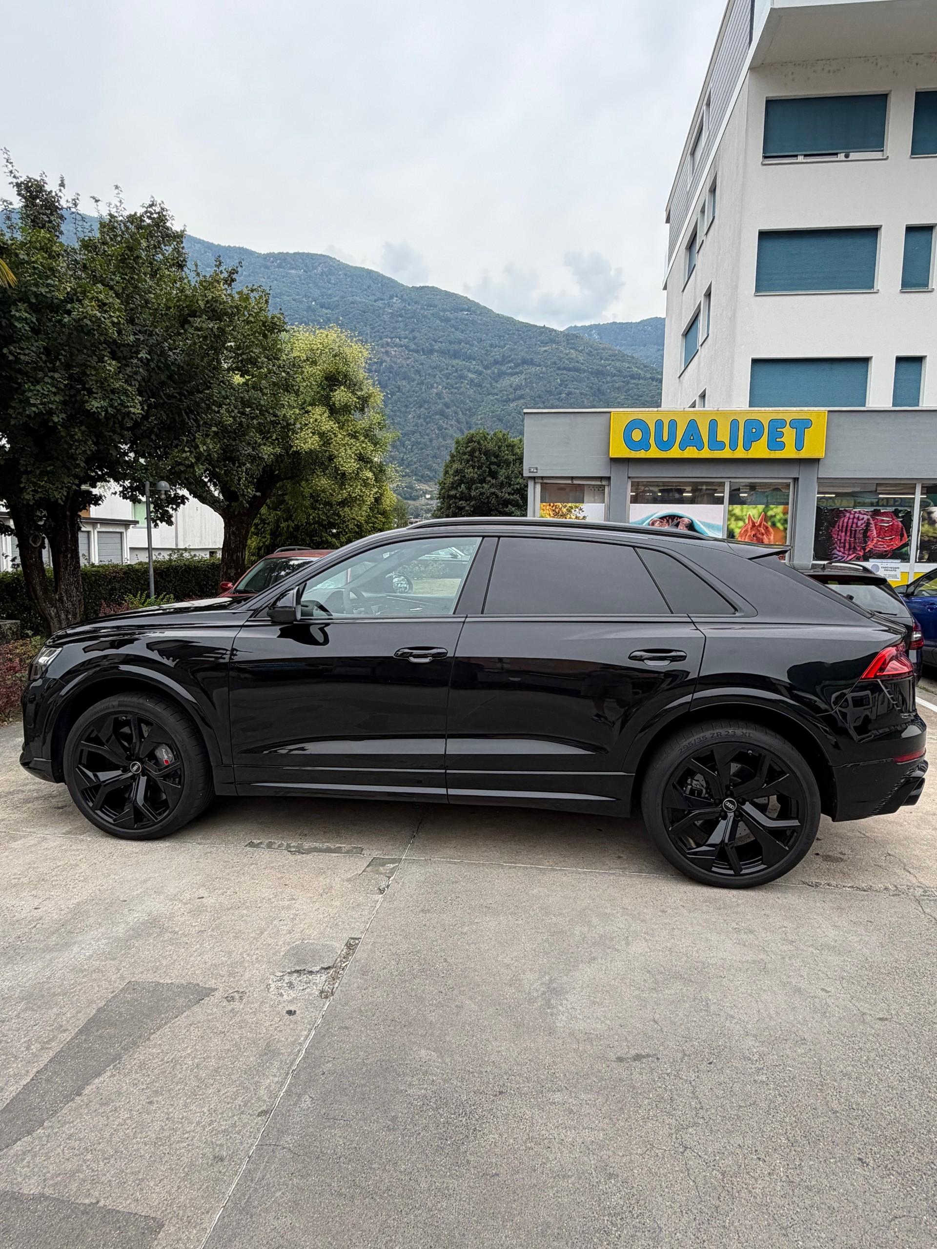 AUDI RSQ8 4.0 V8 TFSI quattro T-Tronic-image-2
