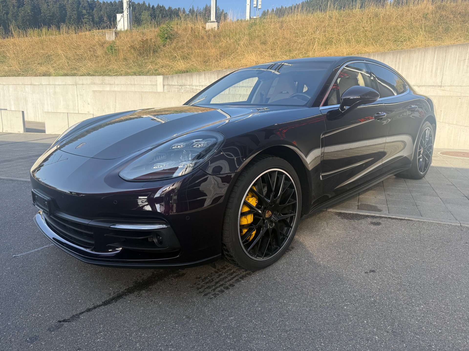 PORSCHE Panamera 4S Diesel PDK-image-2