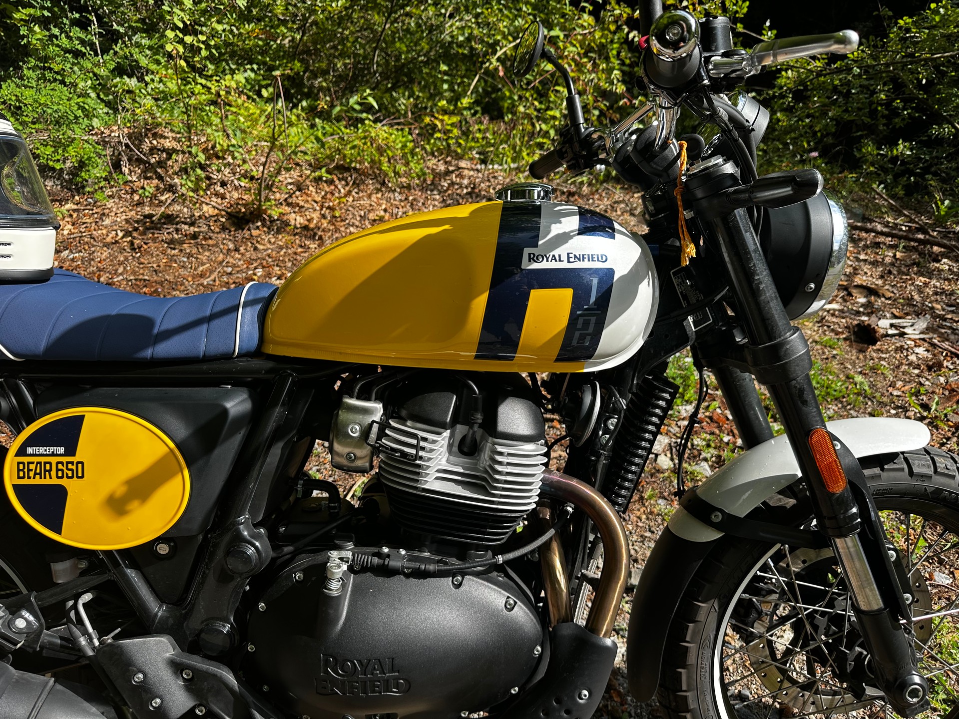 ROYAL ENFIELD BEAR 650-image-2