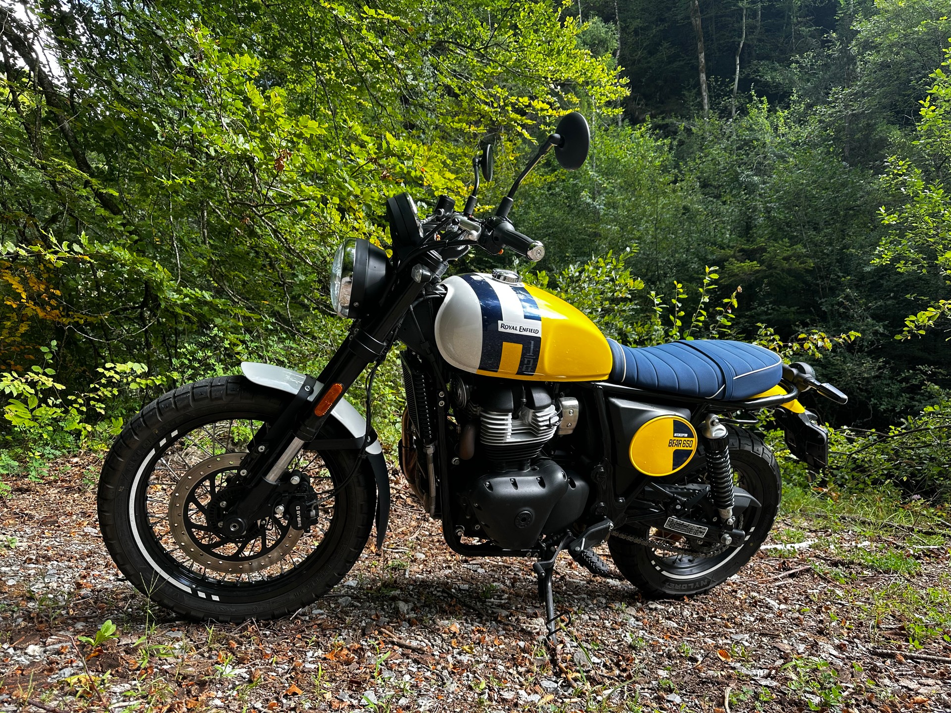 ROYAL ENFIELD BEAR 650-image-4