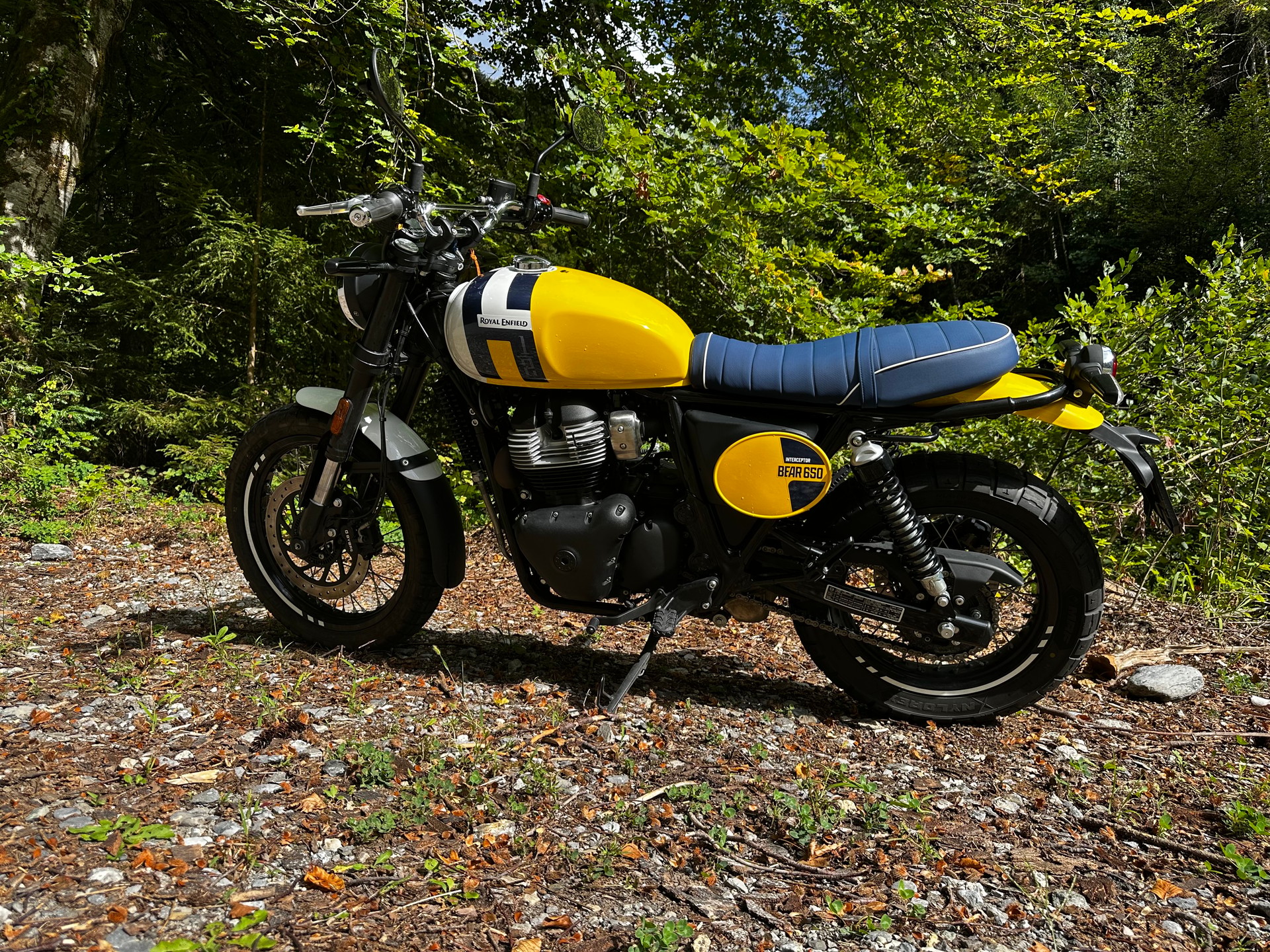 ROYAL ENFIELD BEAR 650-image-5