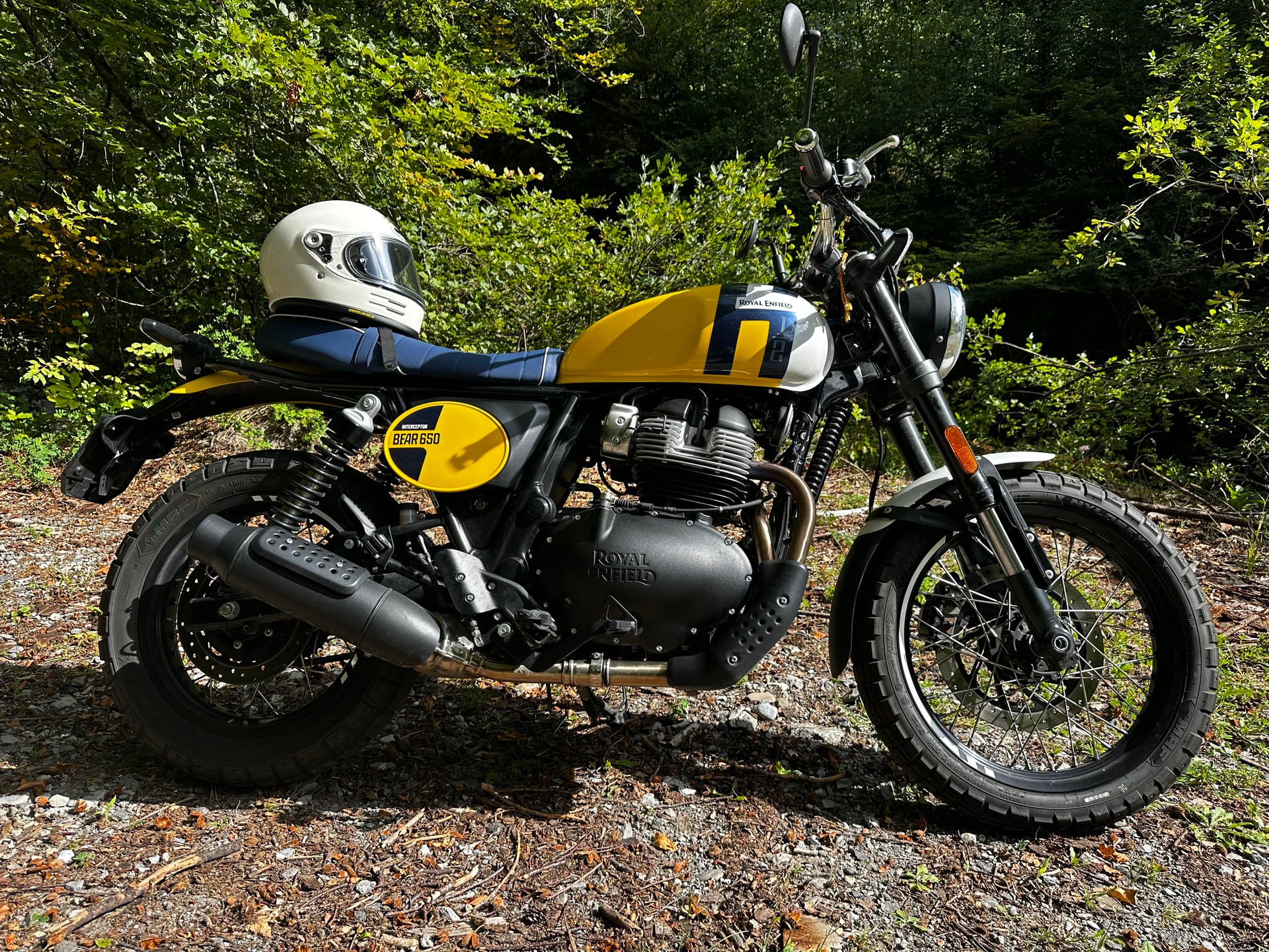 ROYAL ENFIELD BEAR 650