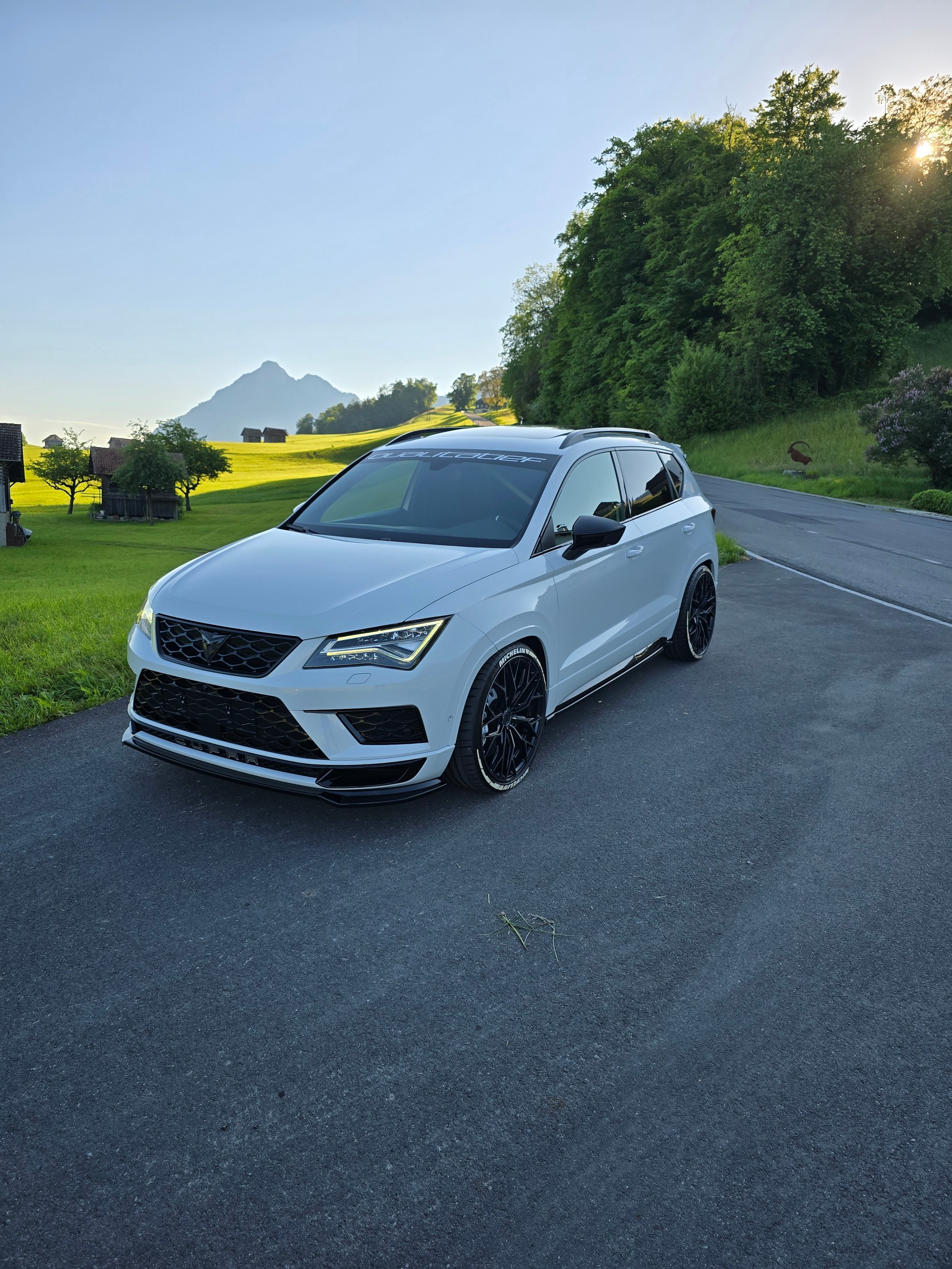 CUPRA 2.0 TSI 4Drive DSG-image-0