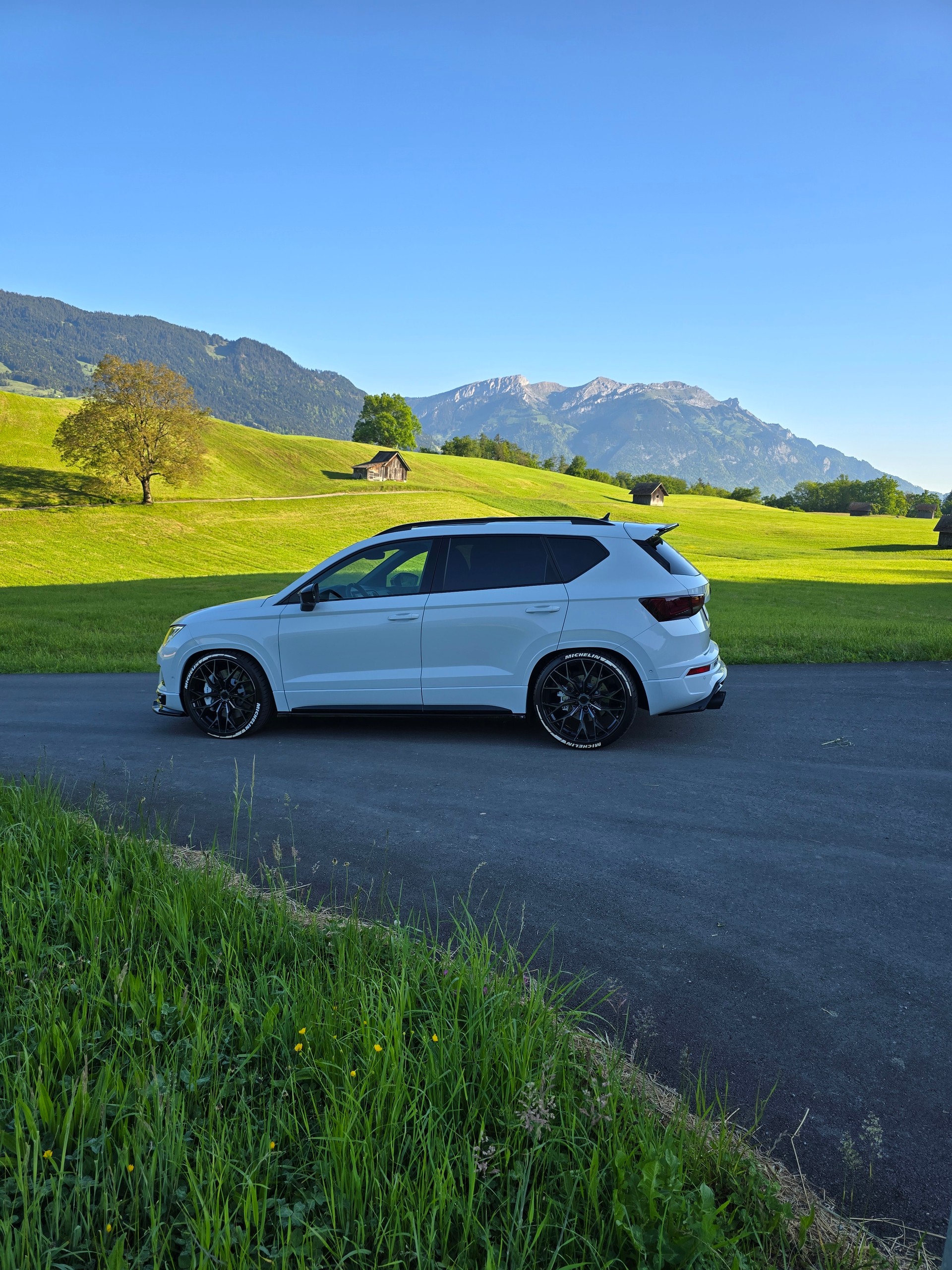 CUPRA 2.0 TSI 4Drive DSG-image-2