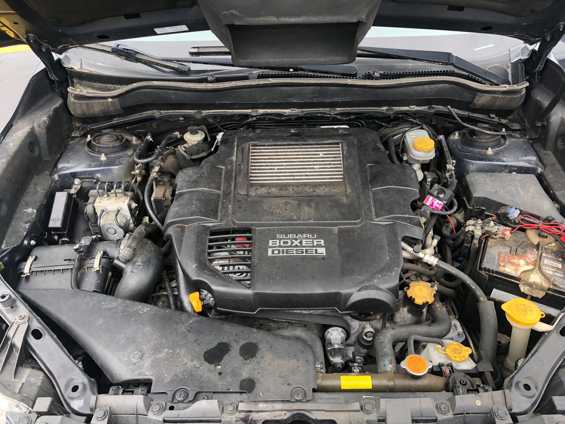 SUBARU Forester 2.0D Swiss Lineatronic-image-8