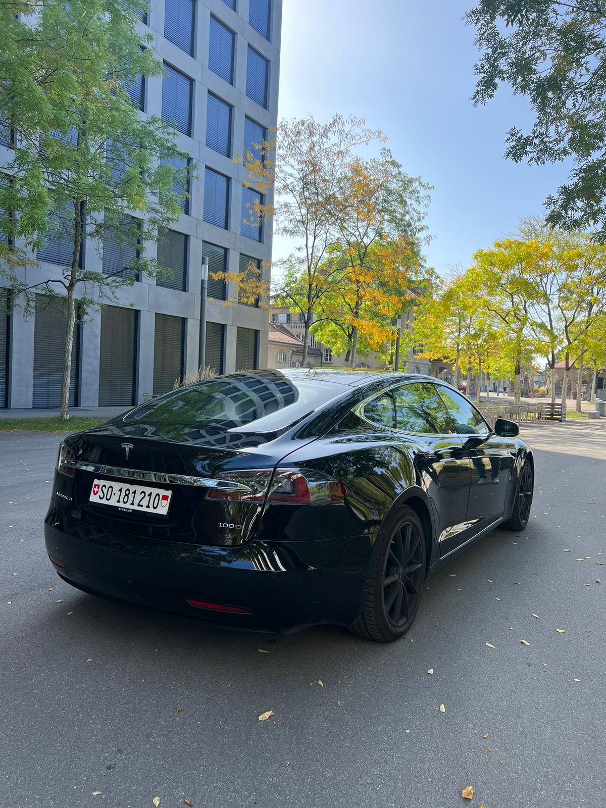 TESLA Model S 100 D Free Supercharge-image-2