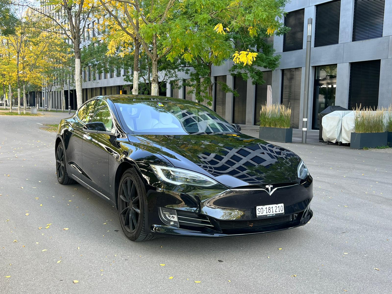 TESLA Model S 100 D Free Supercharge-image-0