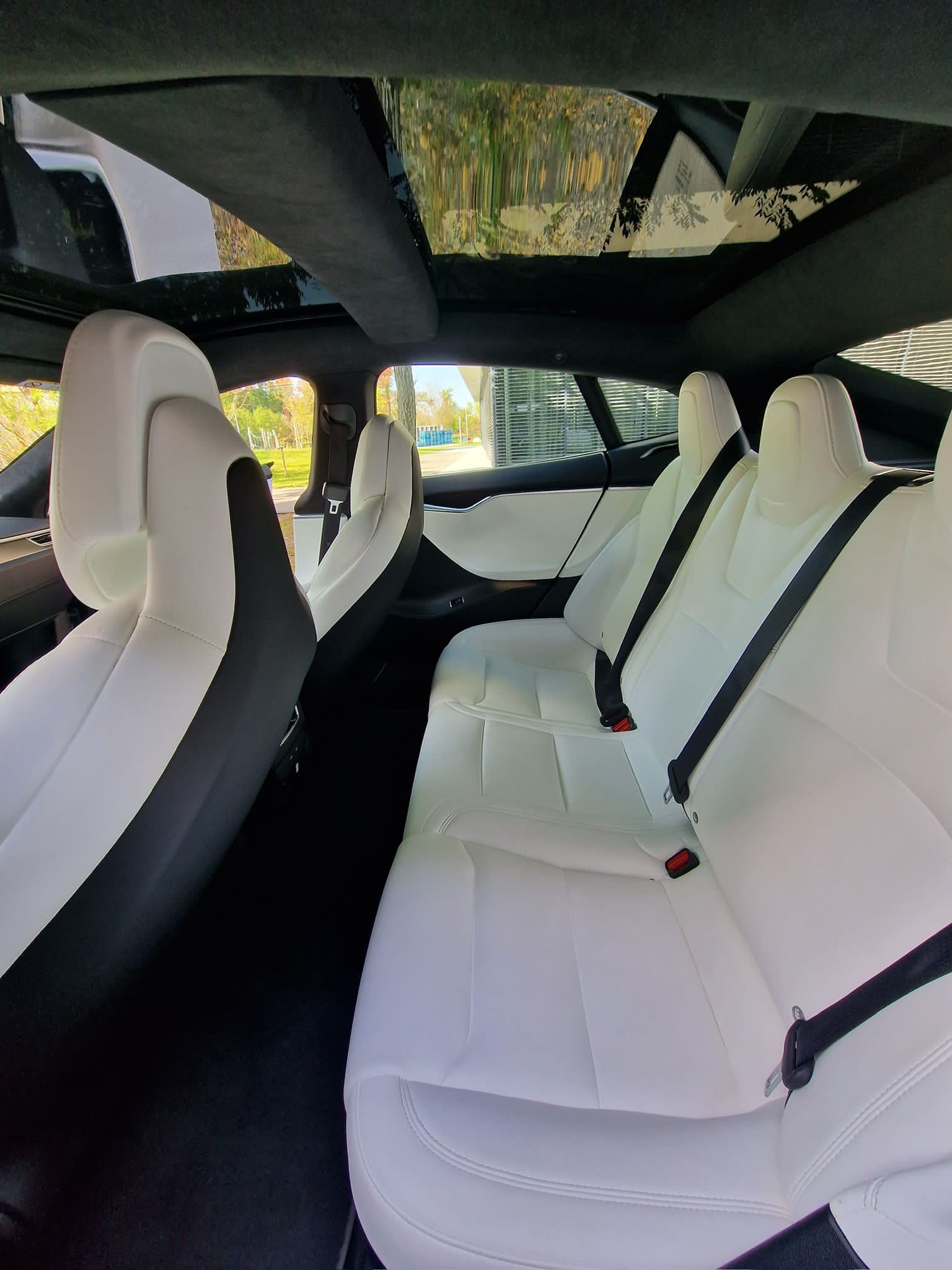 TESLA Model S 100 D Free Supercharge-image-3