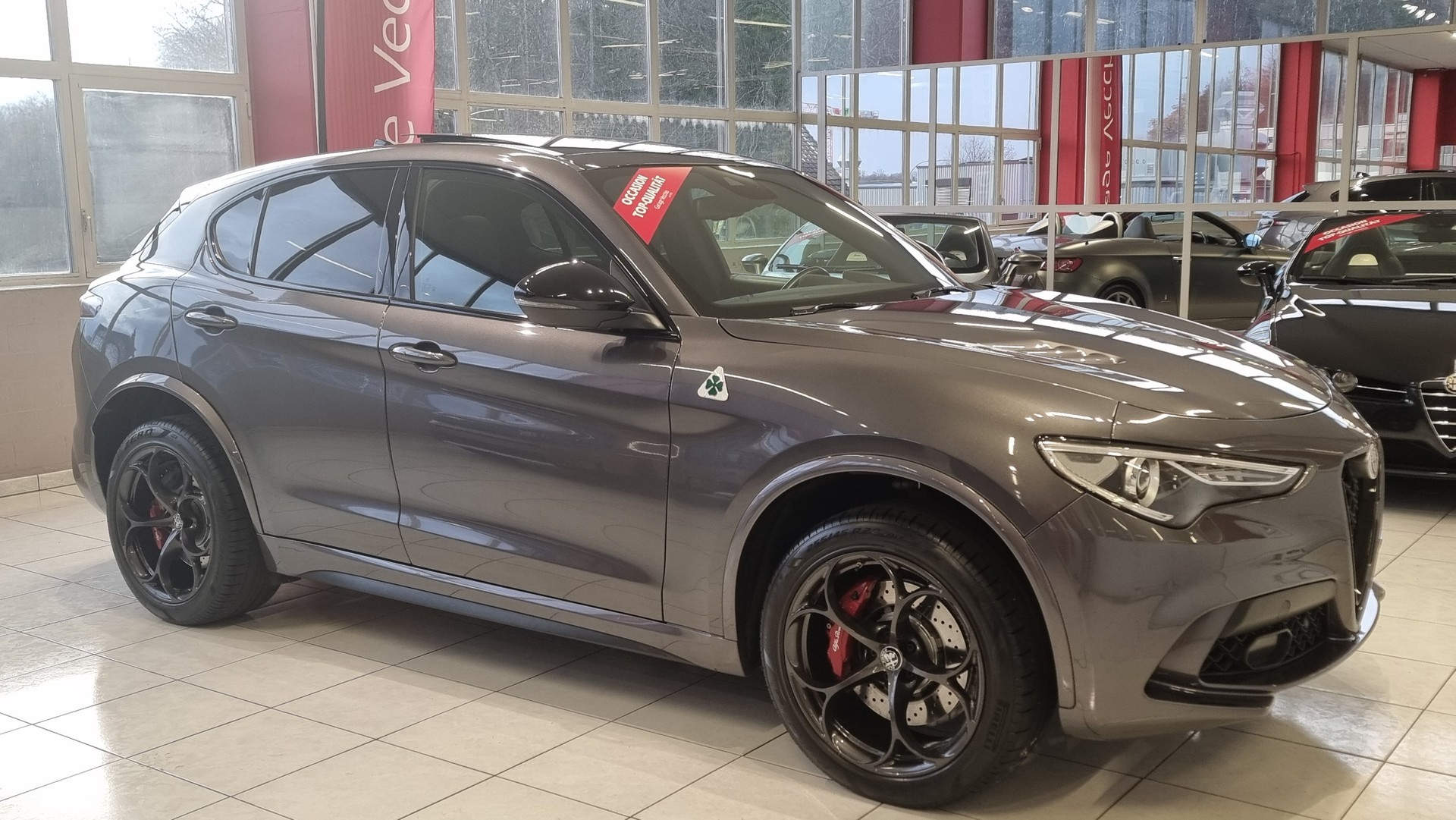 ALFA ROMEO Stelvio 2.9 V6 Biturbo Q4 Quadrifoglio Sky-image-8