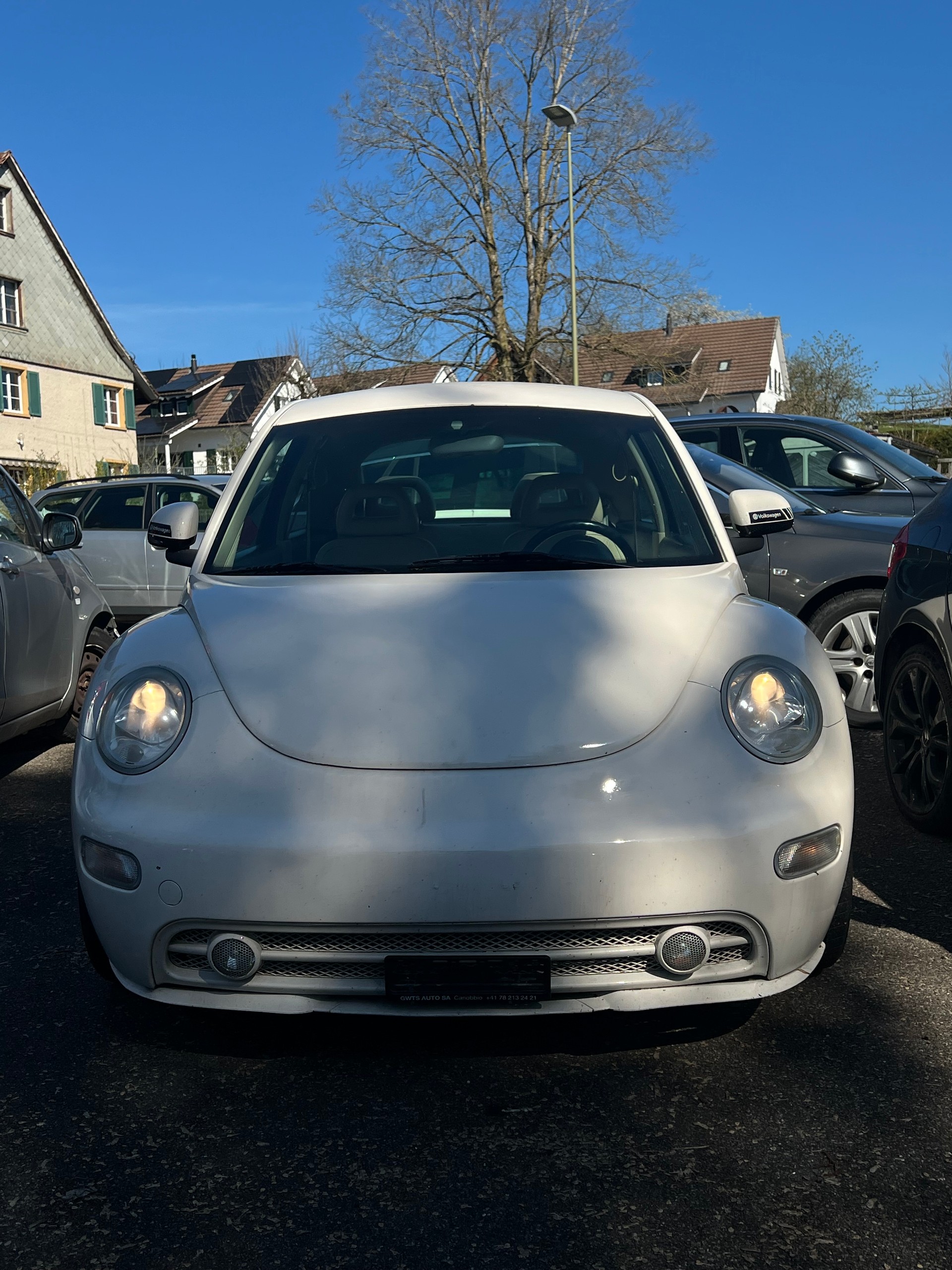 VW Beetle 2.0-image-1