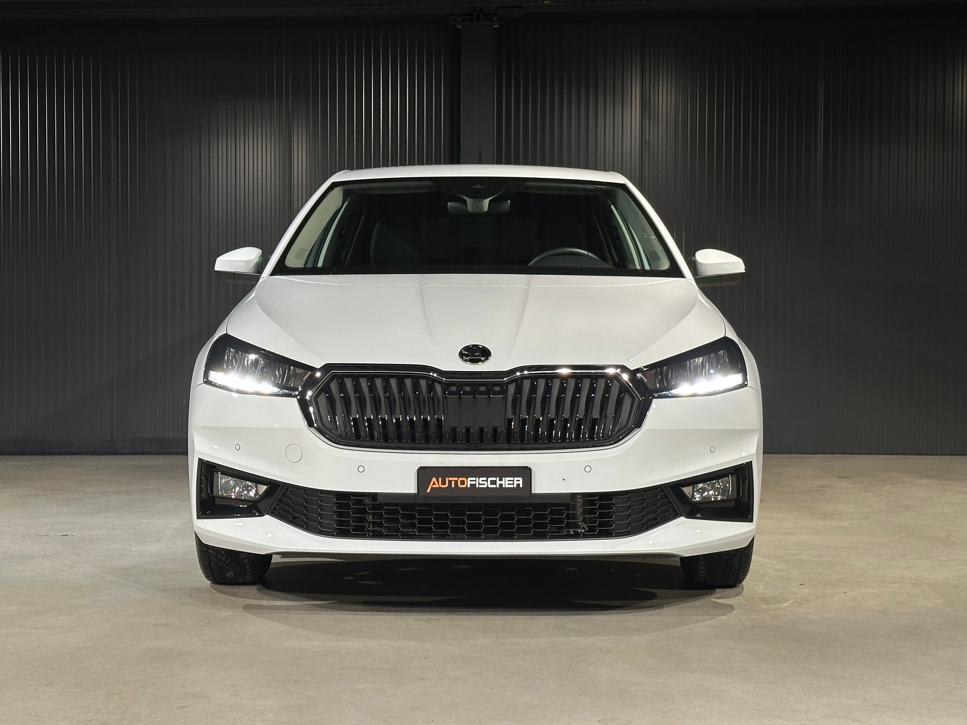 SKODA Fabia 1.0 TSI Selection DSG-showroom-element-2