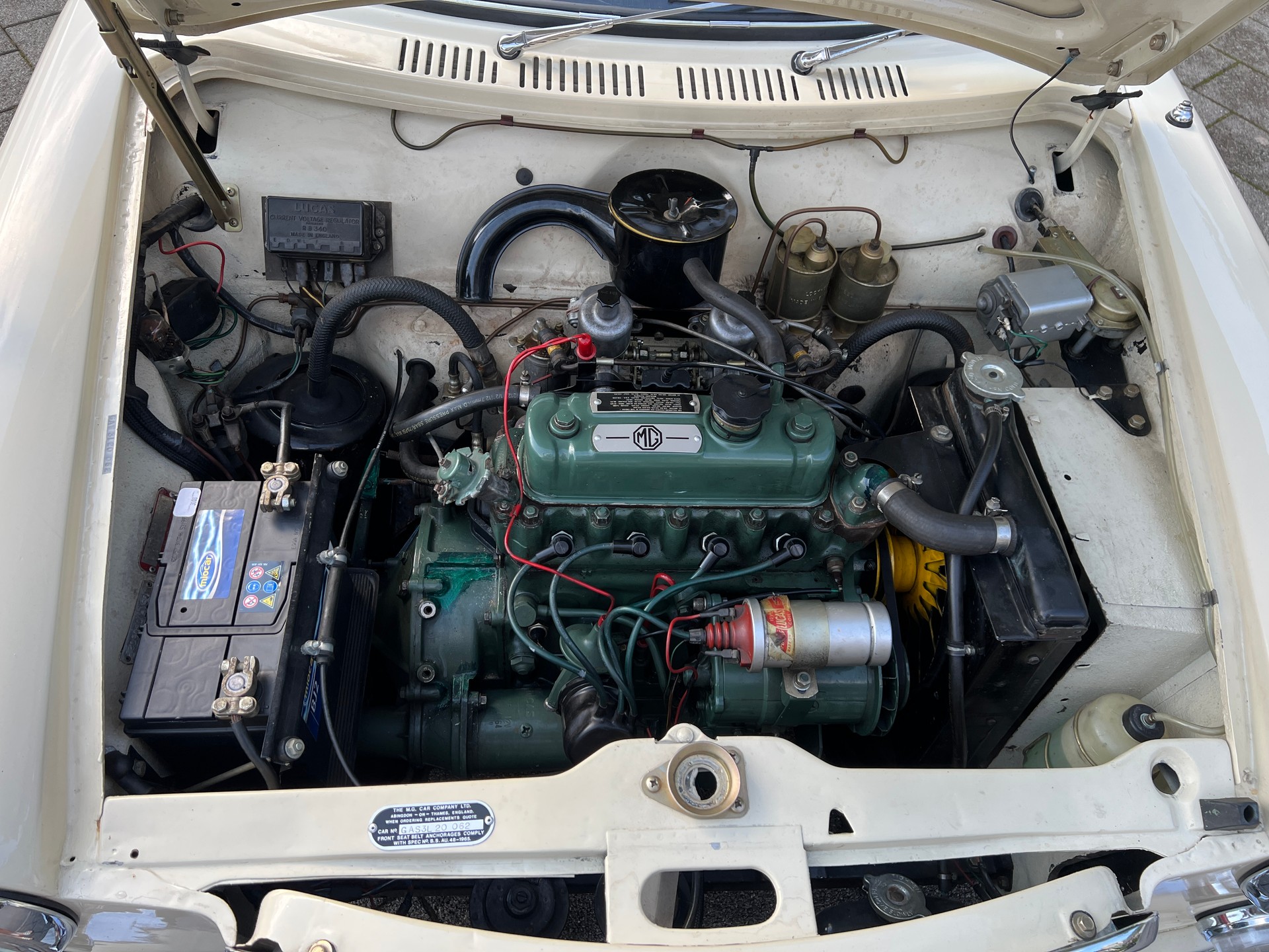 MG 1100-image-14