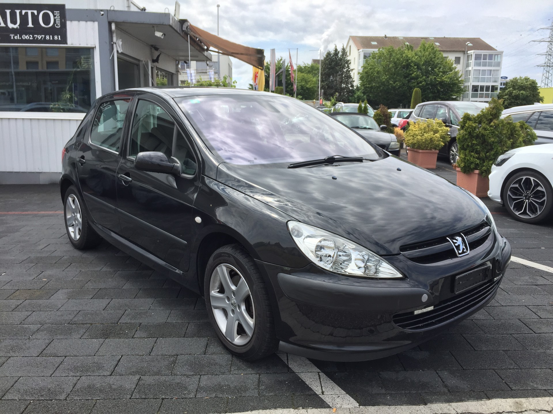 PEUGEOT 307-image-1