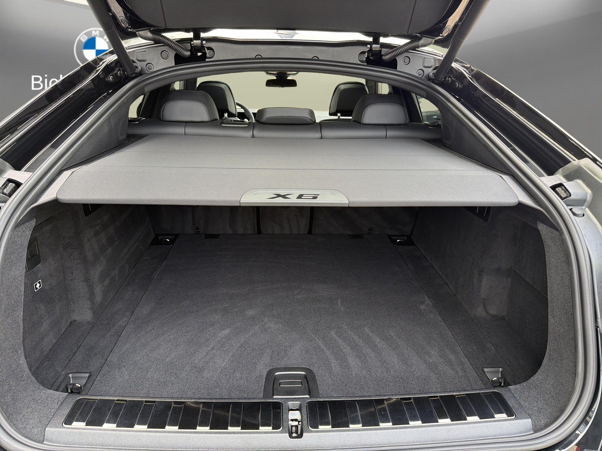 BMW X6 xDr 48V 30d M SportPro-image-17