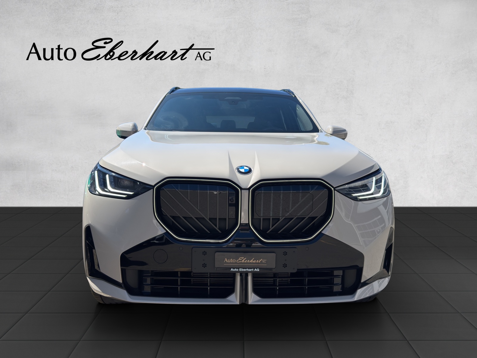BMW X3 xDrive 48V 40d M Sport Pro-image-3