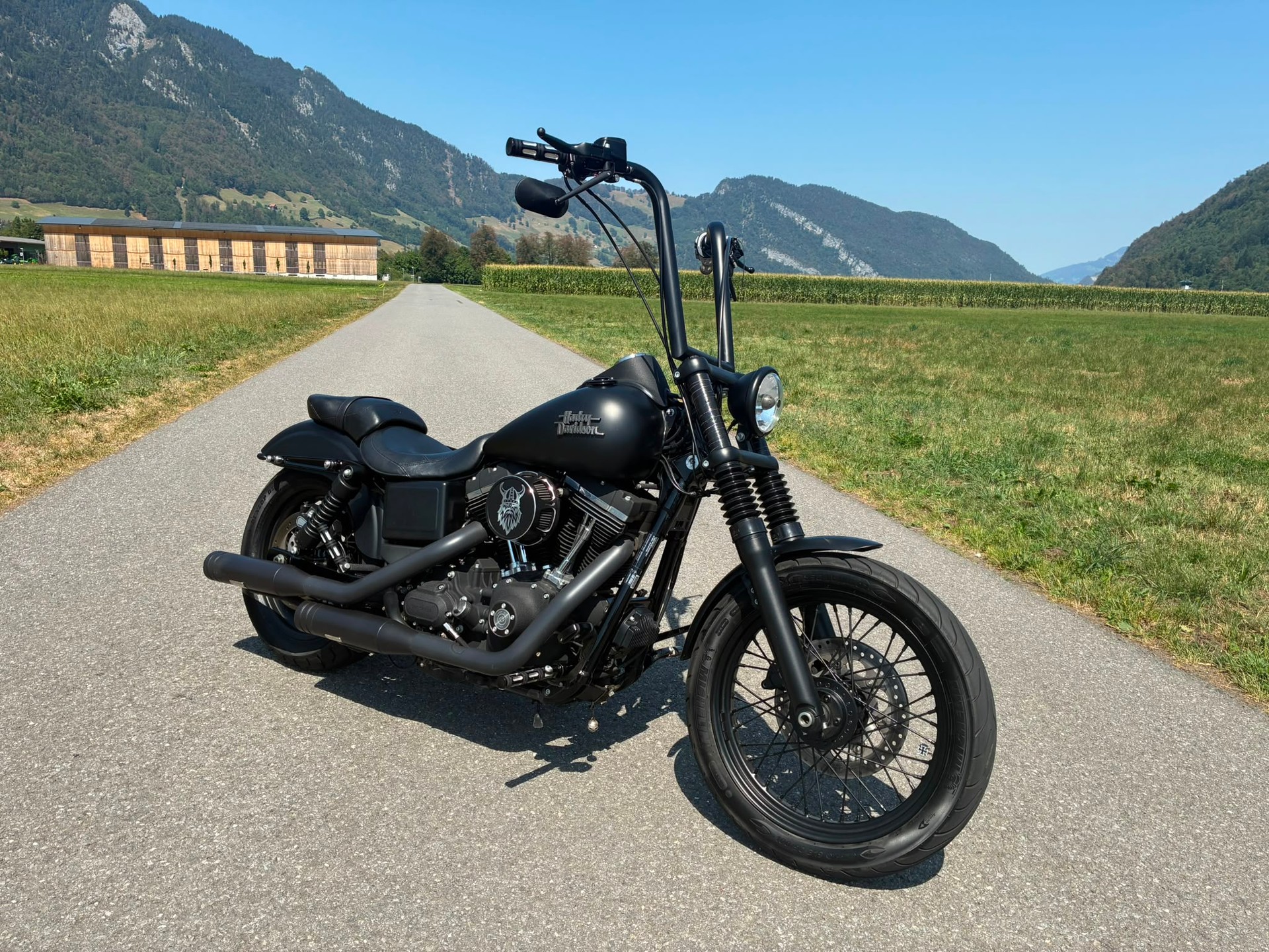 HARLEY-DAVIDSON FXDB Dyna Street Bob ABS