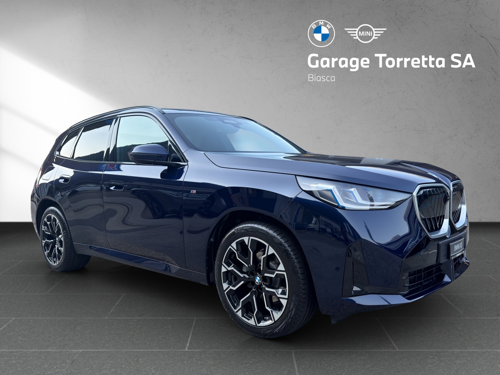 BMW X3 xDrive 48V 20d M Sport-image-6