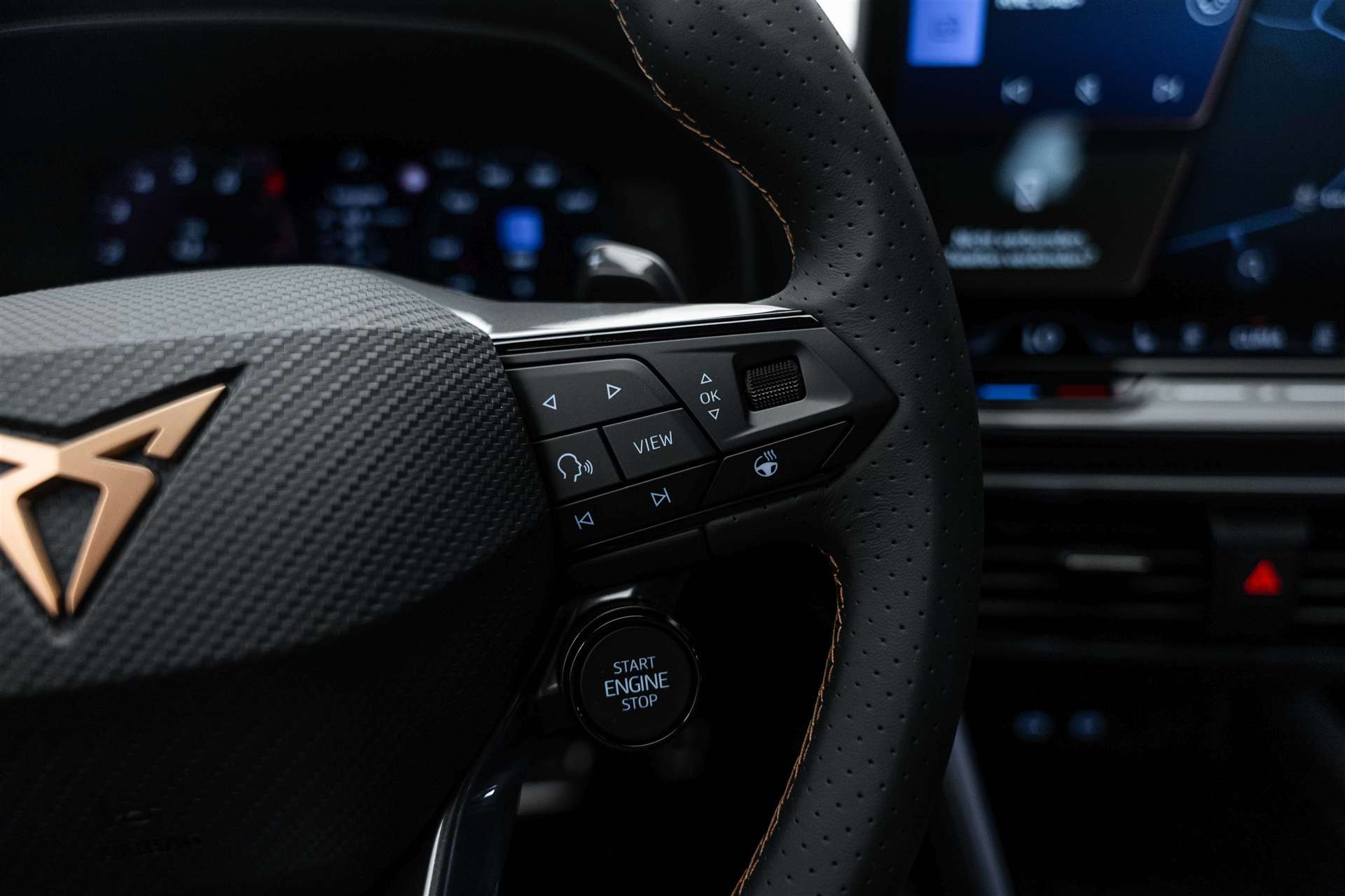 CUPRA CUPRA Formentor 2.0TSI Extreme 333PS 4Drive DSG-Automat-image-20
