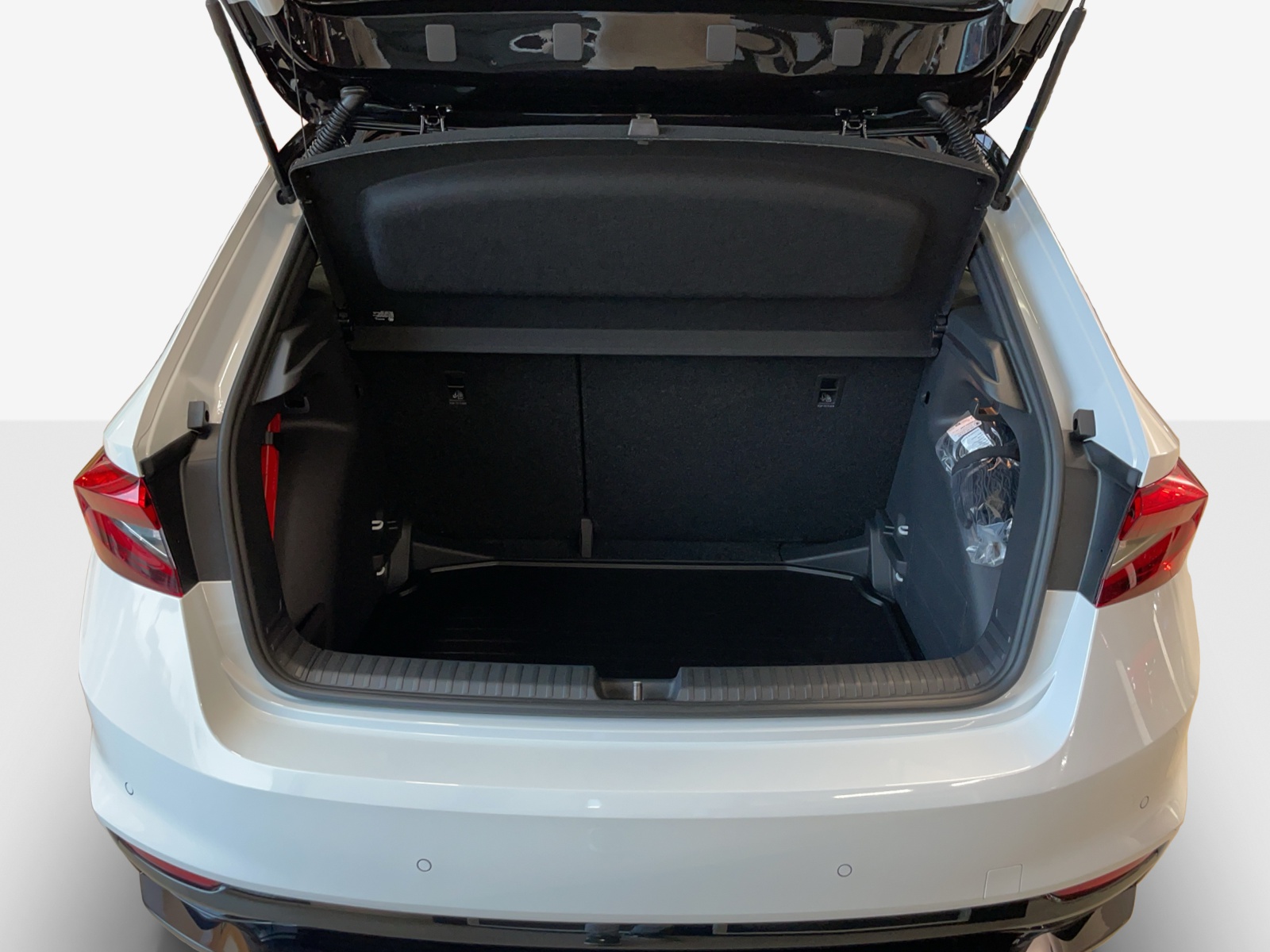 SKODA Fabia 1.0 TSI Monte Carlo DSG-image-12