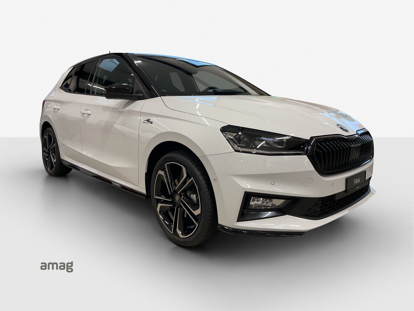 SKODA Fabia 1.0 TSI Monte Carlo DSG-image-5
