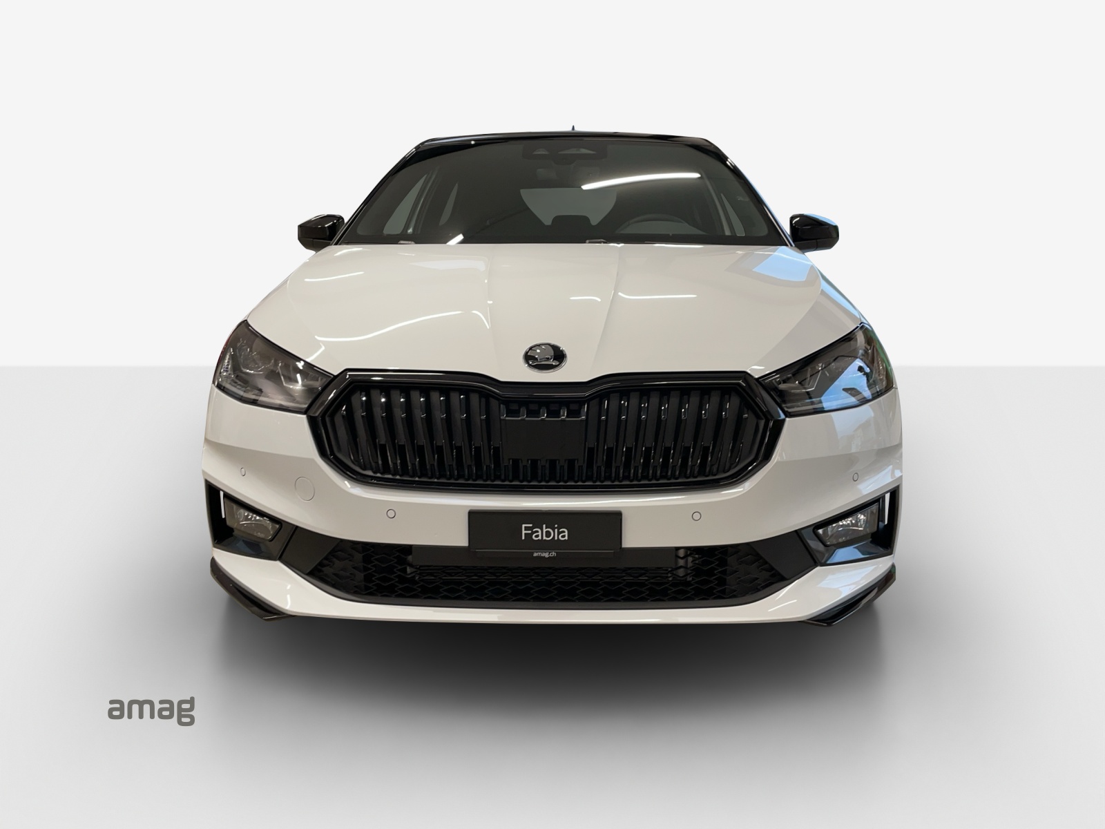 SKODA Fabia 1.0 TSI Monte Carlo DSG-image-6