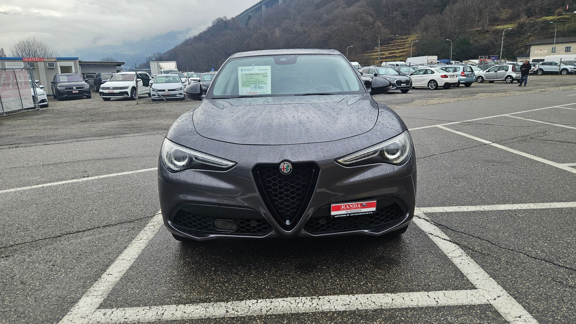 ALFA ROMEO Stelvio 2.0 Executive Q4 Automatic-image-0