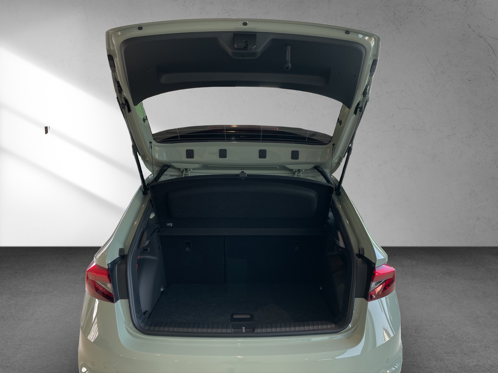 SKODA Fabia 1.0 TSI Dynamic DSG-image-10