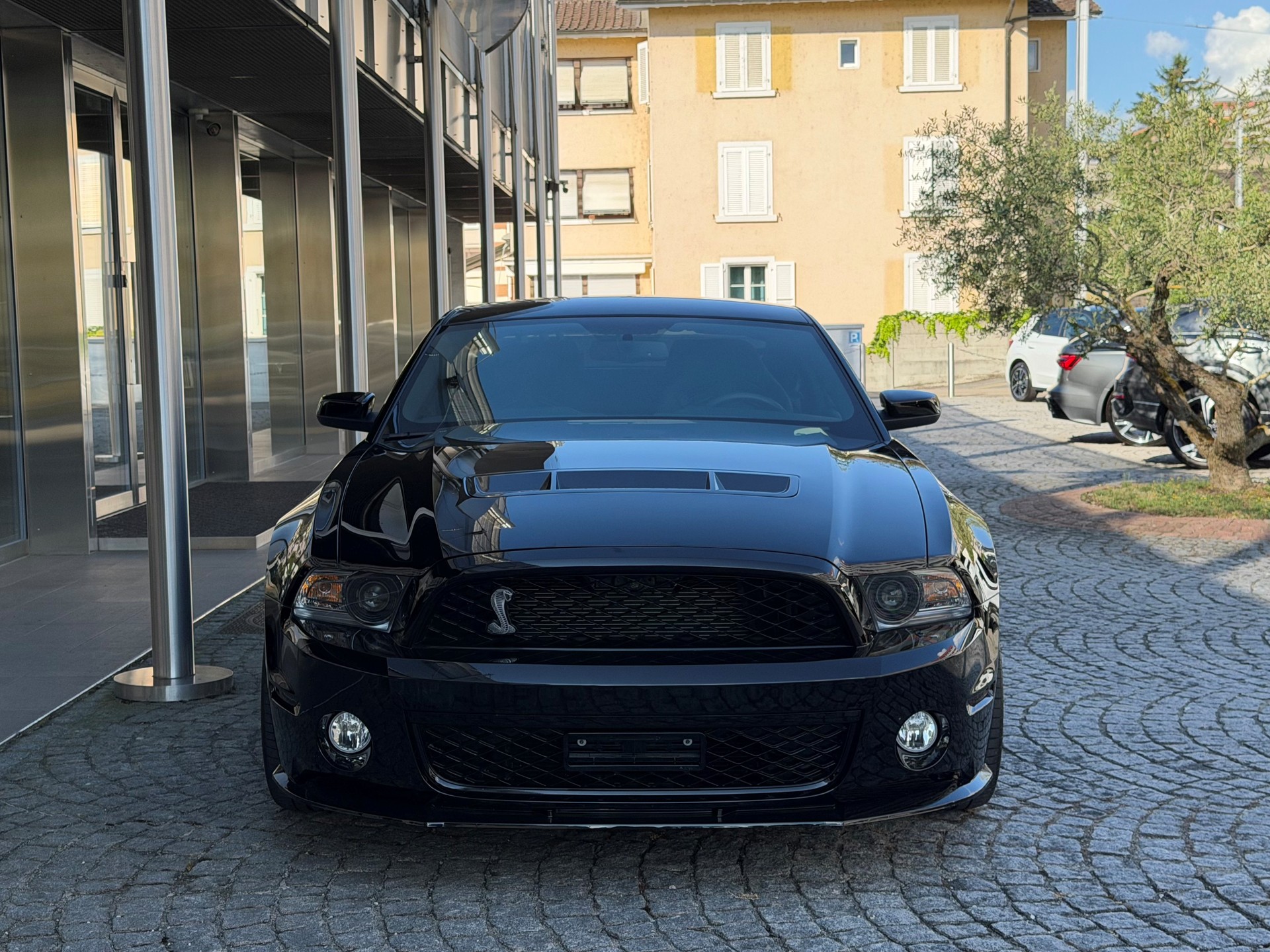FORD Shelby GT 500 SVT-image-1