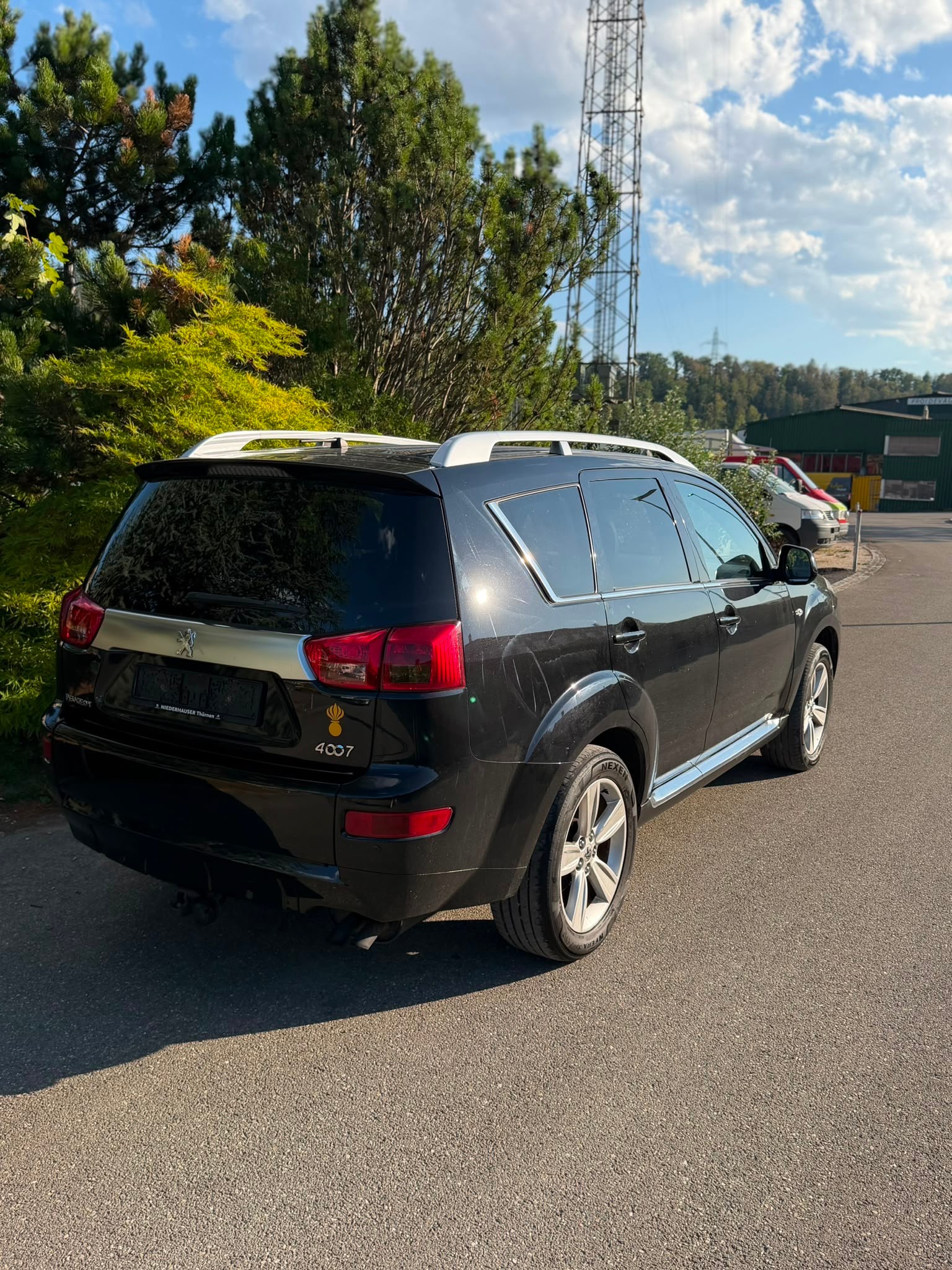PEUGEOT 4007 2.2 HDi Platinum Edition-image-6