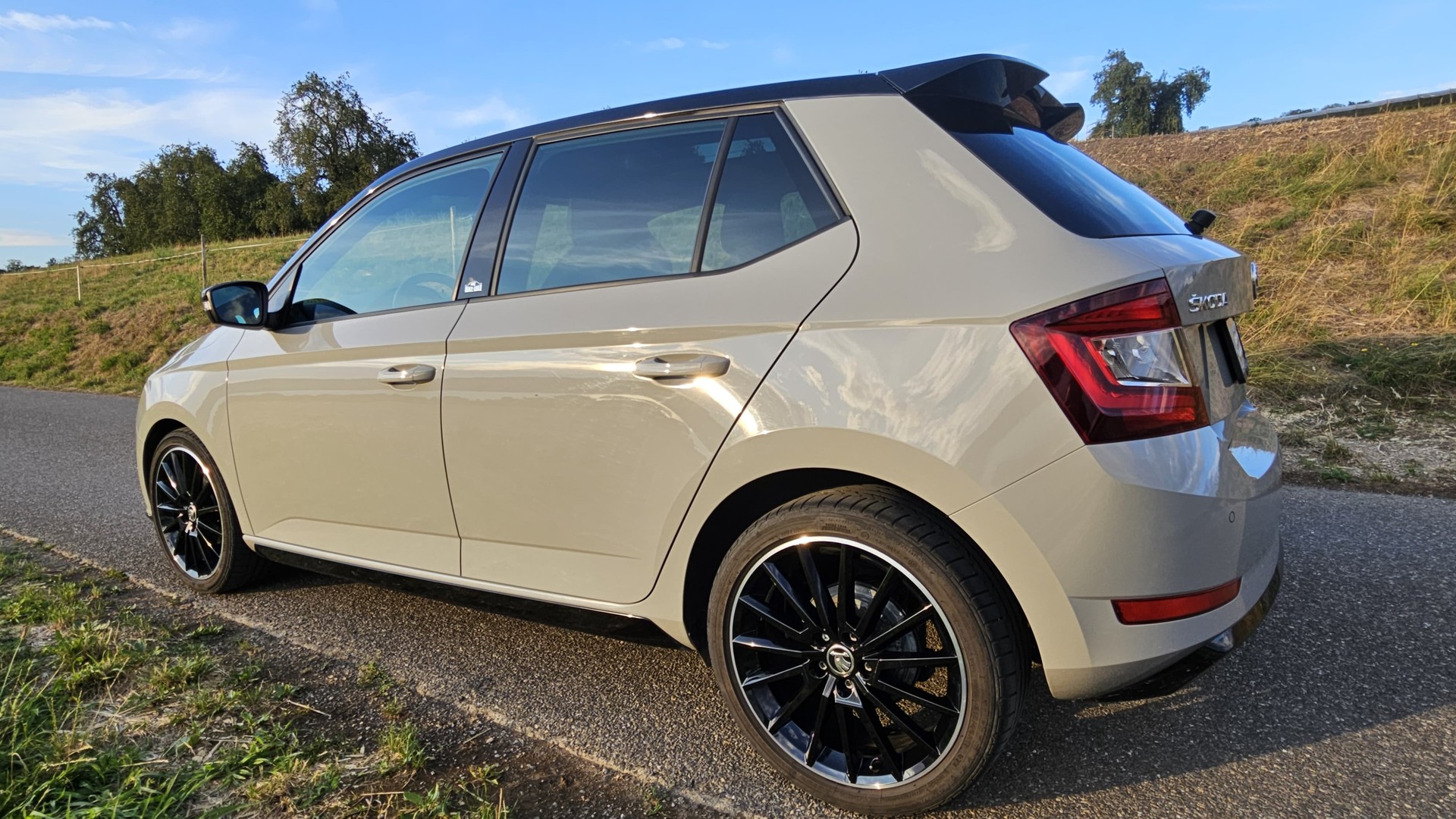 SKODA 1.0 TSI Monte Carlo-image-0