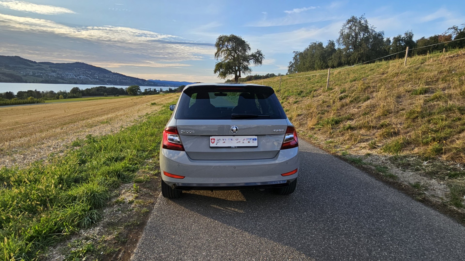 SKODA 1.0 TSI Monte Carlo-image-2