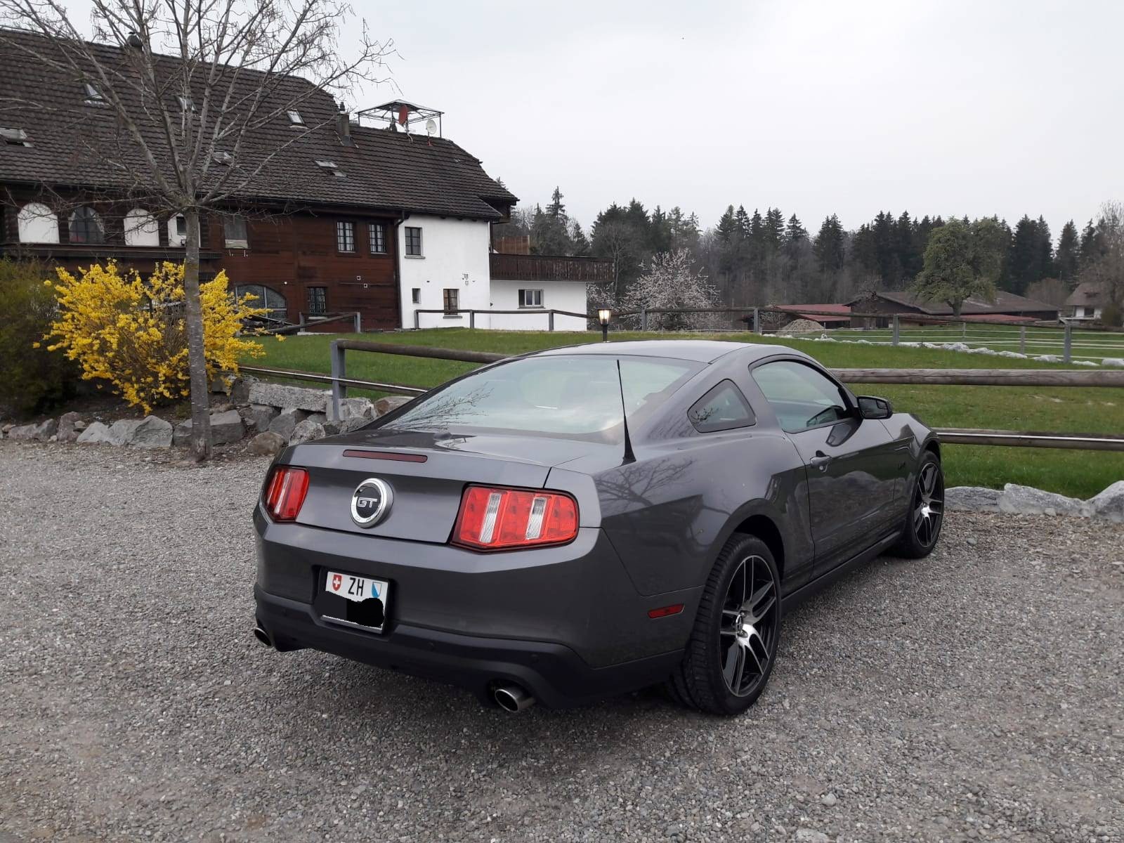 FORD MUSTANG 5.0 GT 6 Gang Handschalter Ab MFK und Service-image-6