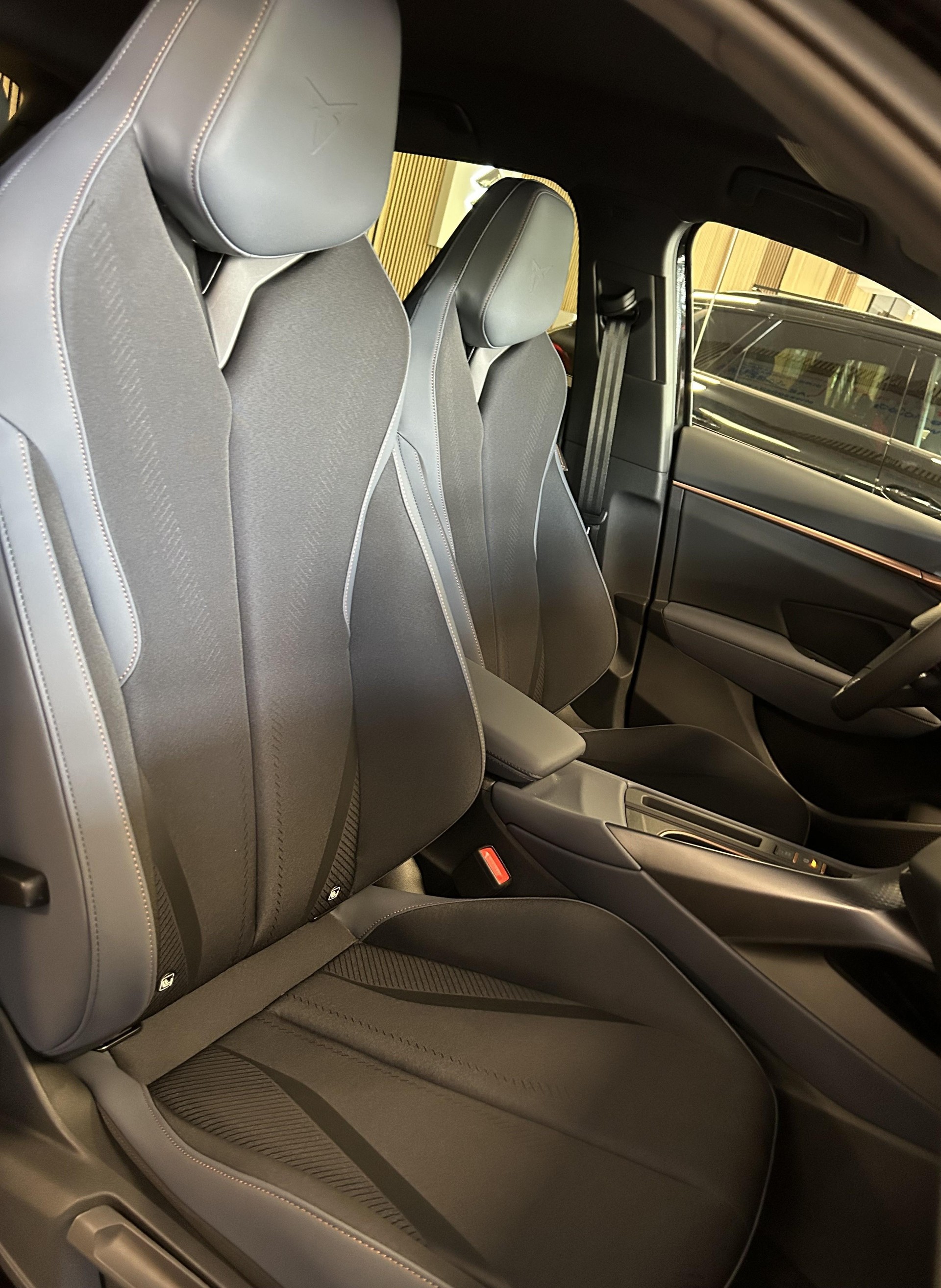 CUPRA Terramar 2.0 TSI VZ 4Drive DSG-image-17