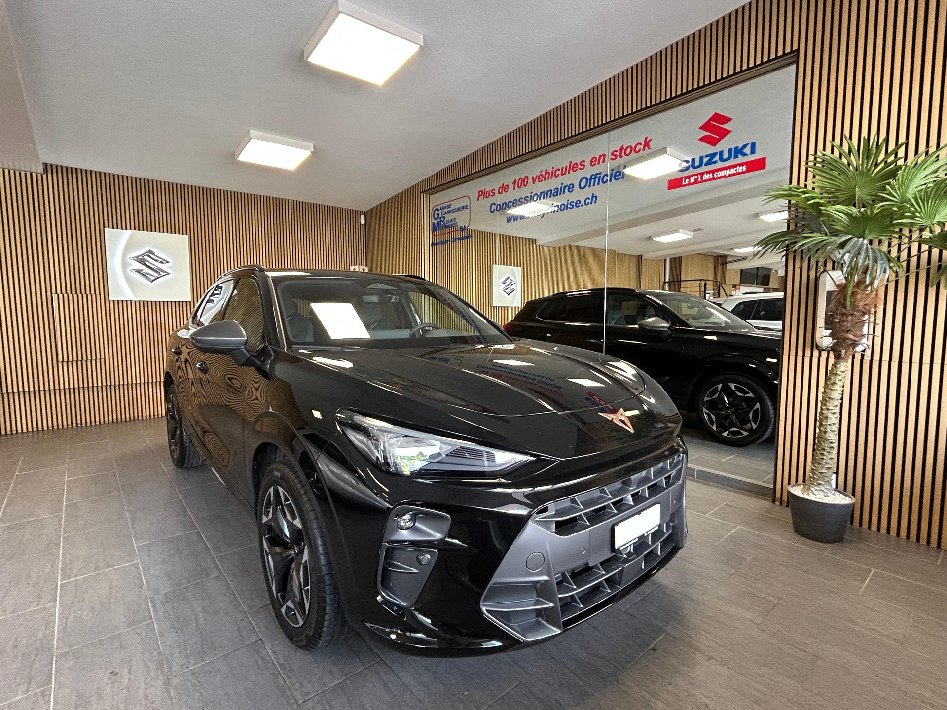 CUPRA Terramar 2.0 TSI VZ 4Drive DSG-showroom-element-1