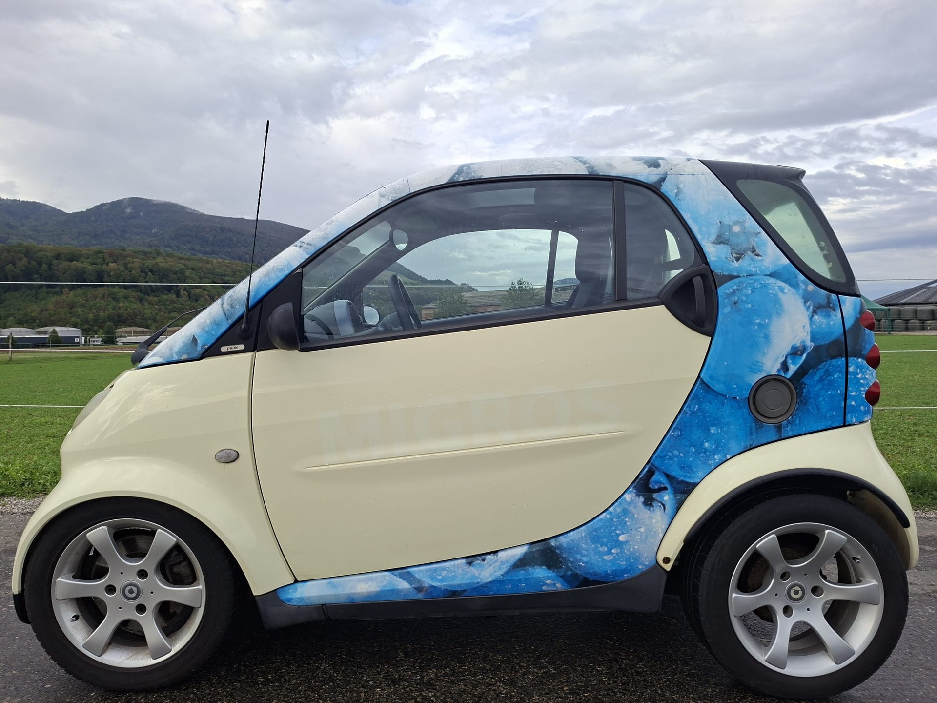 SMART-image-0