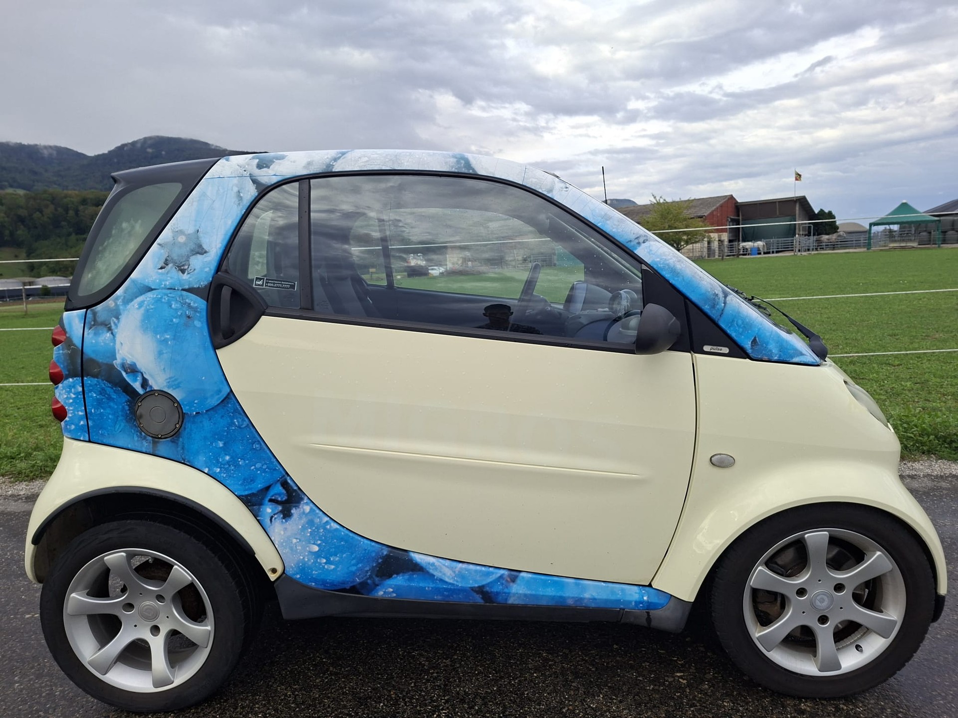 SMART-image-1