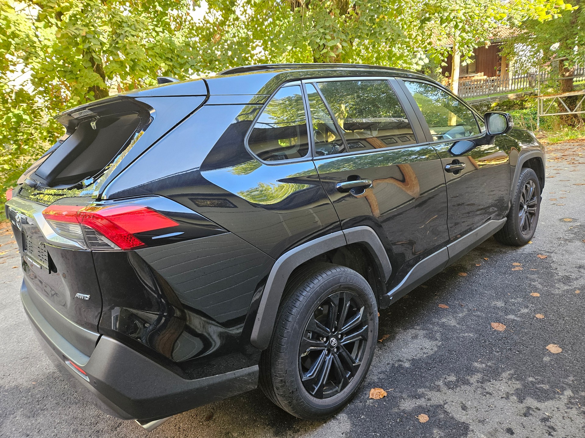 TOYOTA RAV-4 2.0 Trend Multidrive S 4WD hagelschaden dégats de grele-image-8