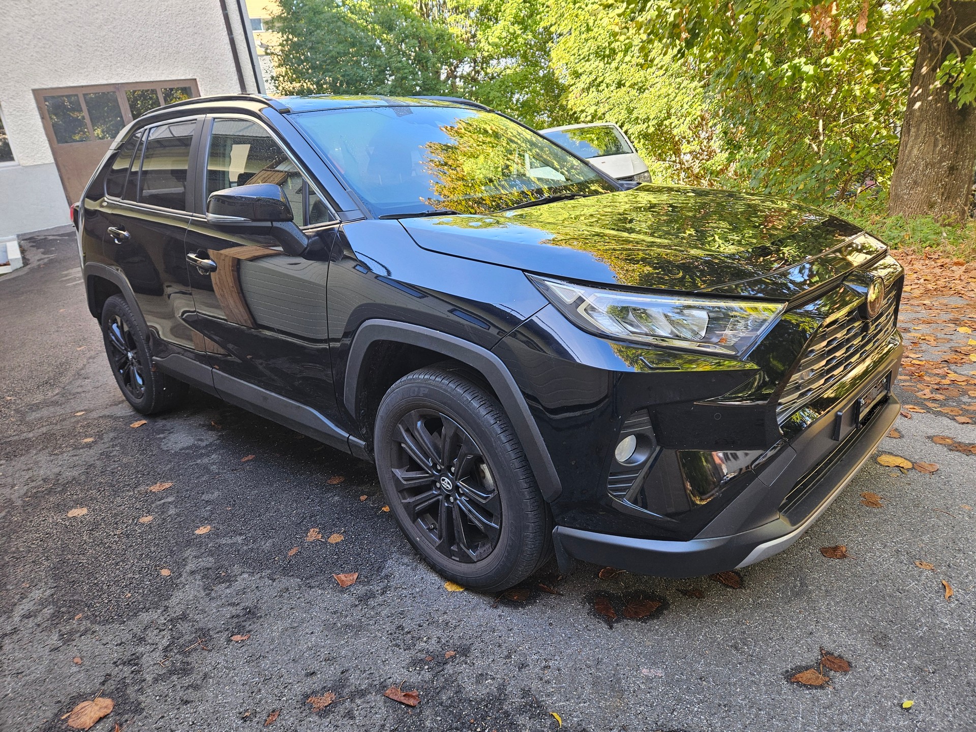 TOYOTA RAV-4 2.0 Trend Multidrive S 4WD hagelschaden dégats de grele-image-0