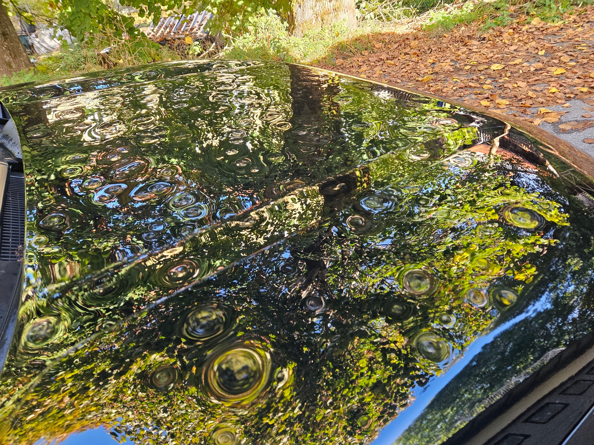 TOYOTA RAV-4 2.0 Trend Multidrive S 4WD hagelschaden dégats de grele-image-10